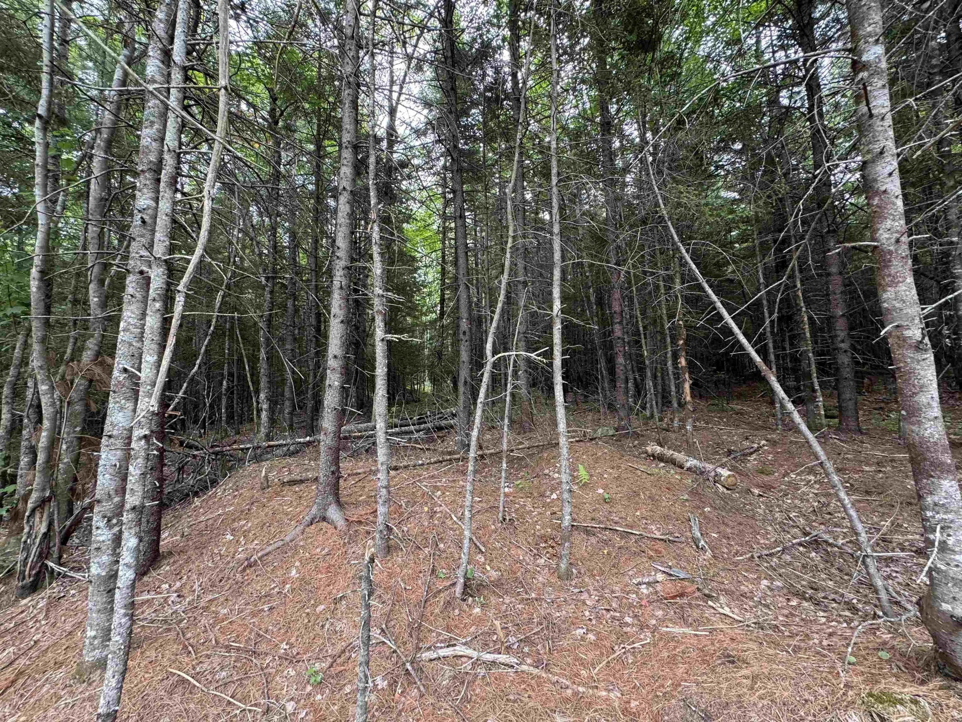 126 Middle Lake South Road, Vaughan, NS B0N 2T0, ,Residential,For Sale,Middle Lake South,202518273