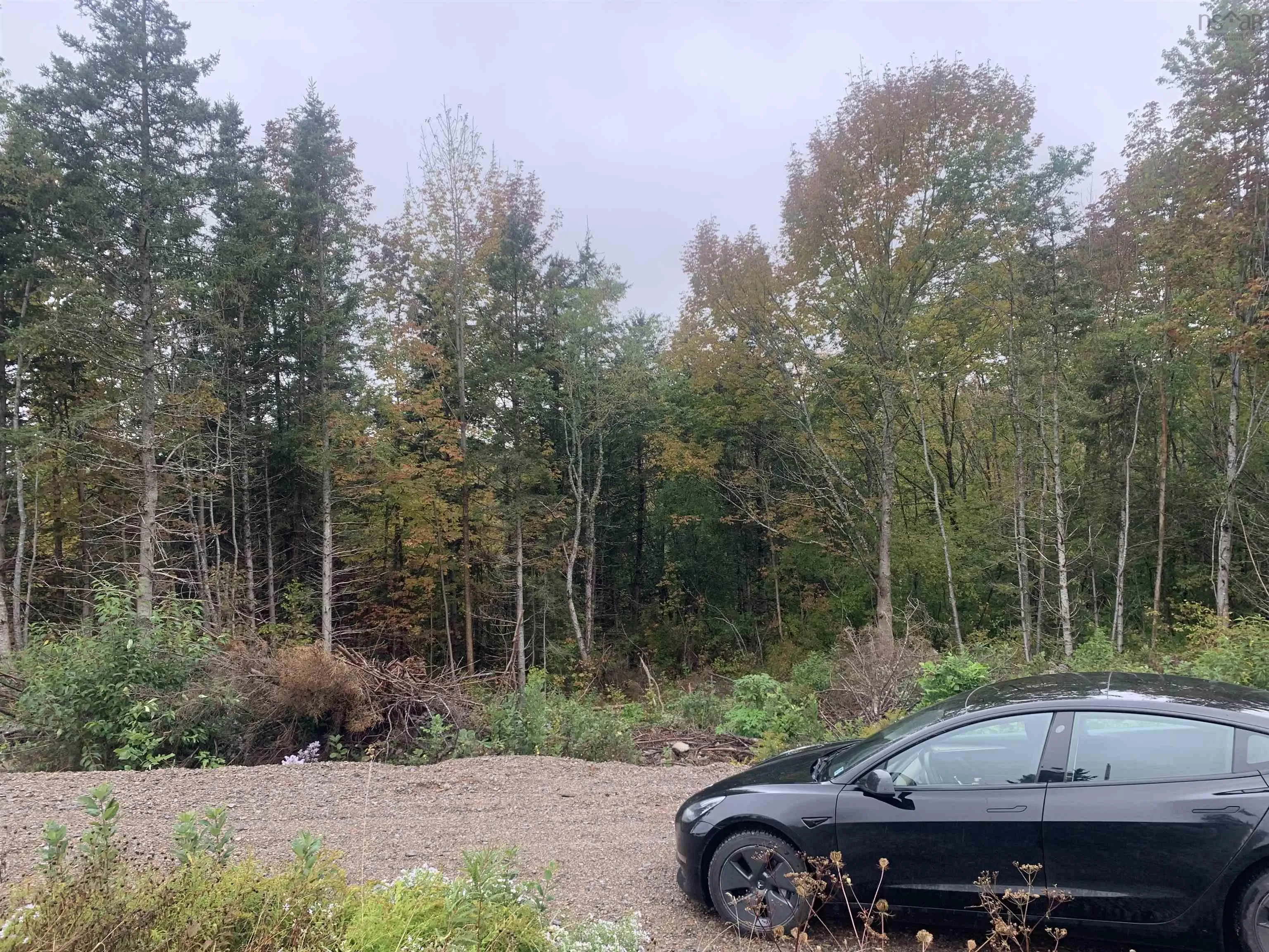 Torbrook Road Lot 18, Torbrook Ns B0p 1r0, ,Land,For Sale,Torbrook,202418914