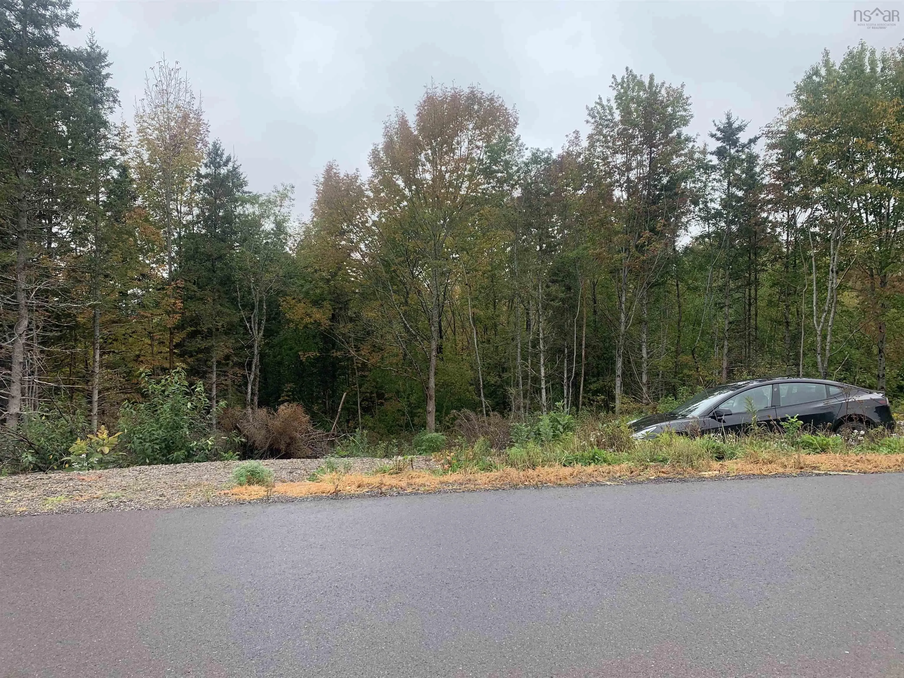 Torbrook Road Lot 18, Torbrook Ns B0p 1r0, ,Land,For Sale,Torbrook,202418914