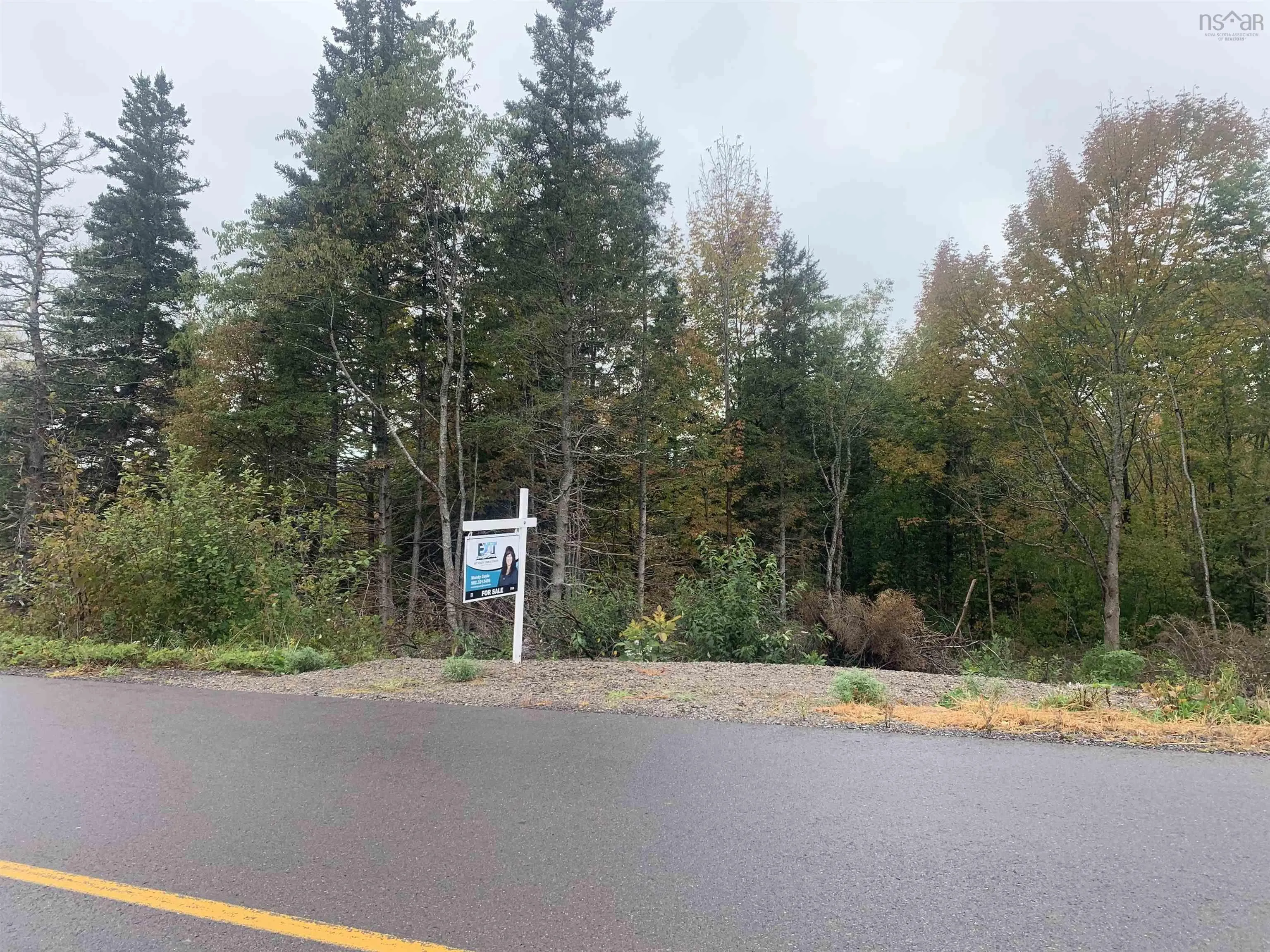 Torbrook Road Lot 18, Torbrook Ns B0p 1r0, ,Land,For Sale,Torbrook,202418914