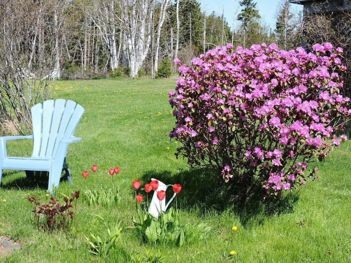 164 Kenomee Heights Lane, Upper Economy, NS B0M 1J0, 3 Bedrooms Bedrooms, ,2 BathroomsBathrooms,Residential,For Sale,Kenomee Heights Lane,202504194