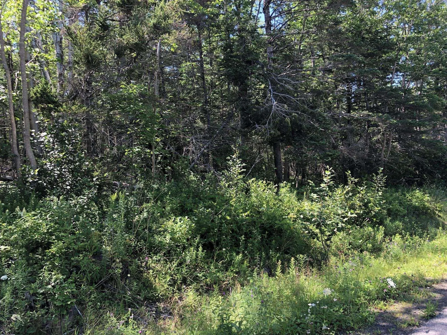 Lighthouse Road, Bay View, NS B0V 1A0, ,Land,For Sale,Lighthouse,202513270
