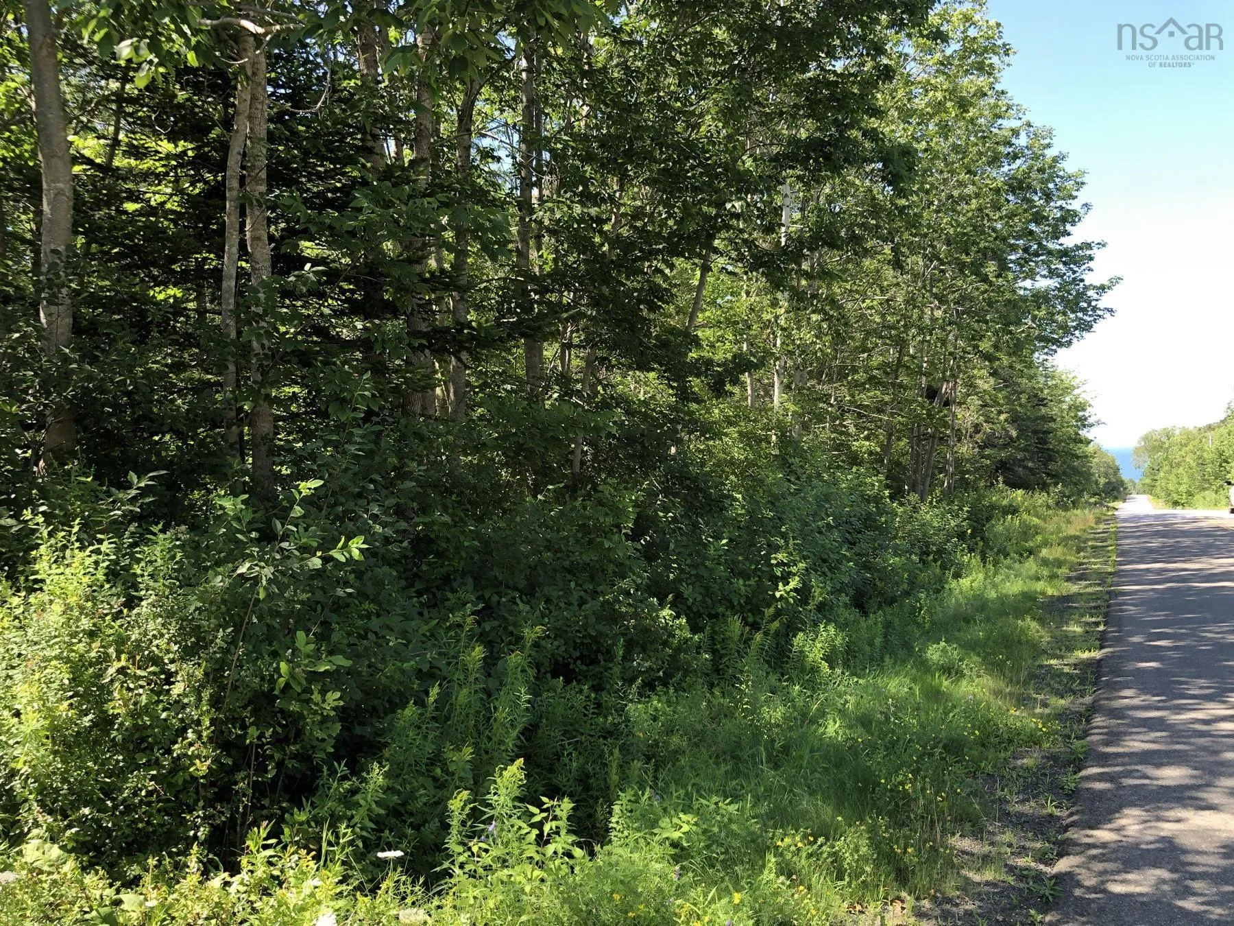 Lighthouse Road, Bay View, NS B0V 1A0, ,Land,For Sale,Lighthouse,202513270