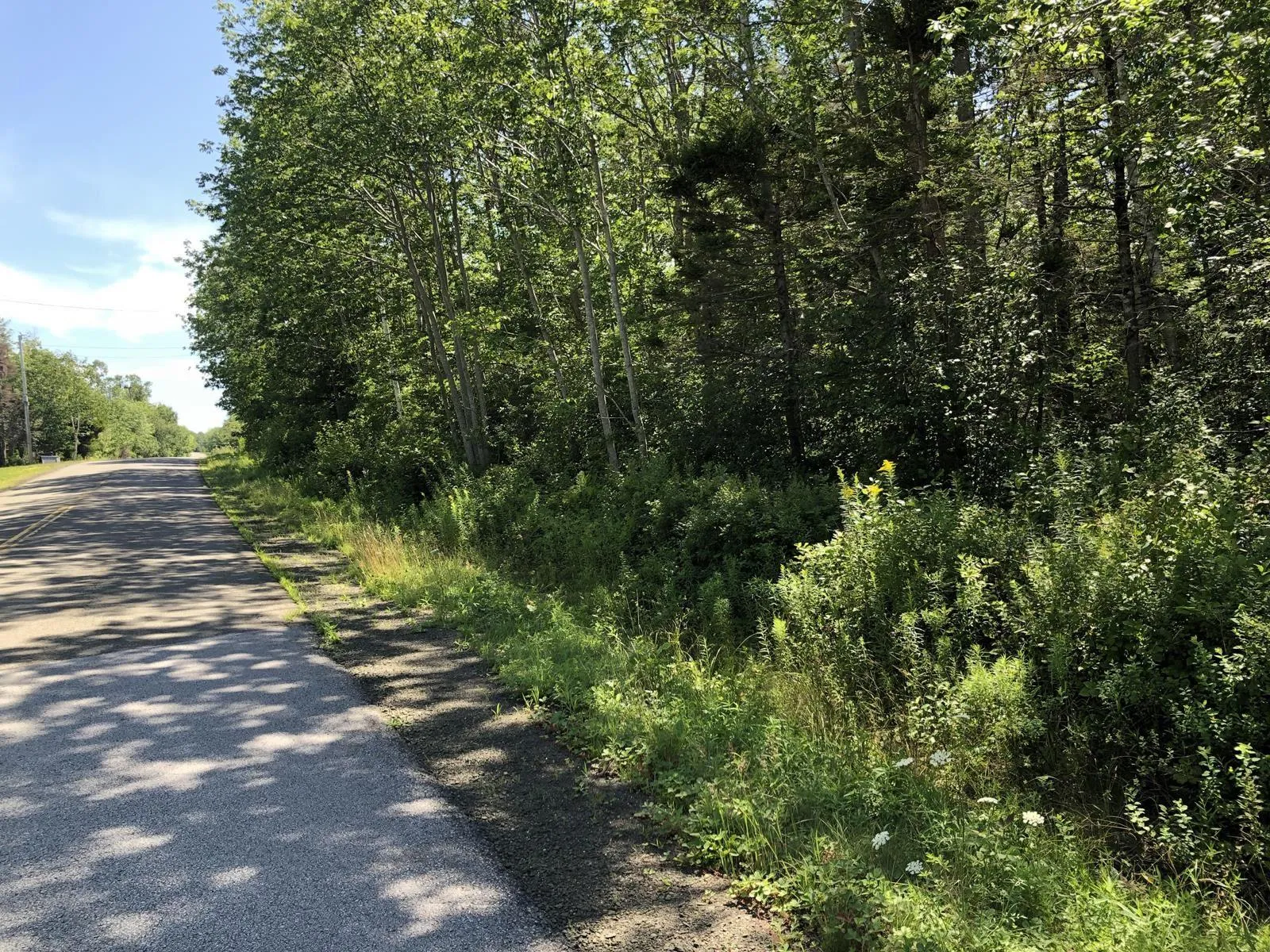 Lighthouse Road, Bay View, NS B0V 1A0, ,Land,For Sale,Lighthouse,202513270