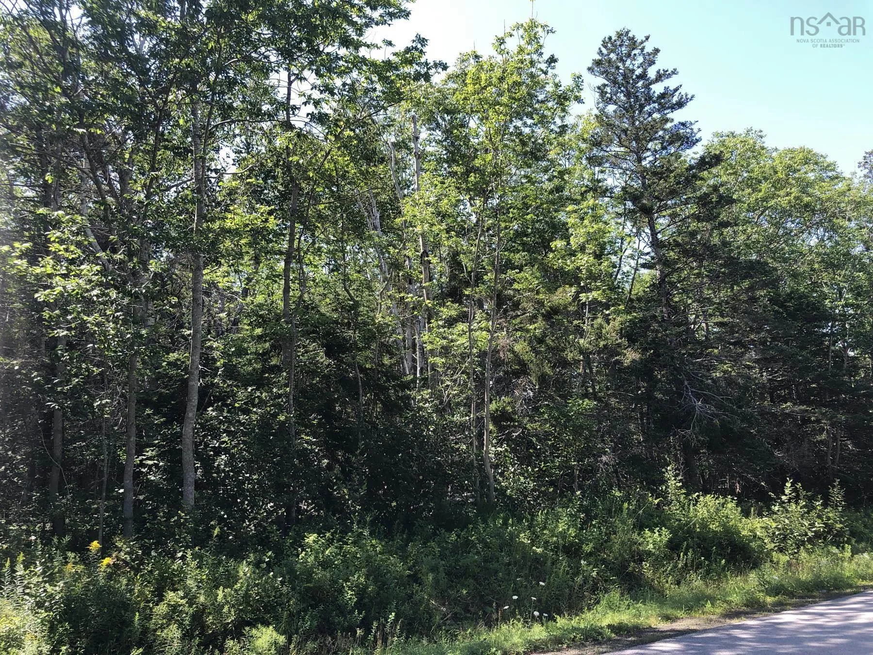 Lighthouse Road, Bay View, NS B0V 1A0, ,Land,For Sale,Lighthouse,202513270