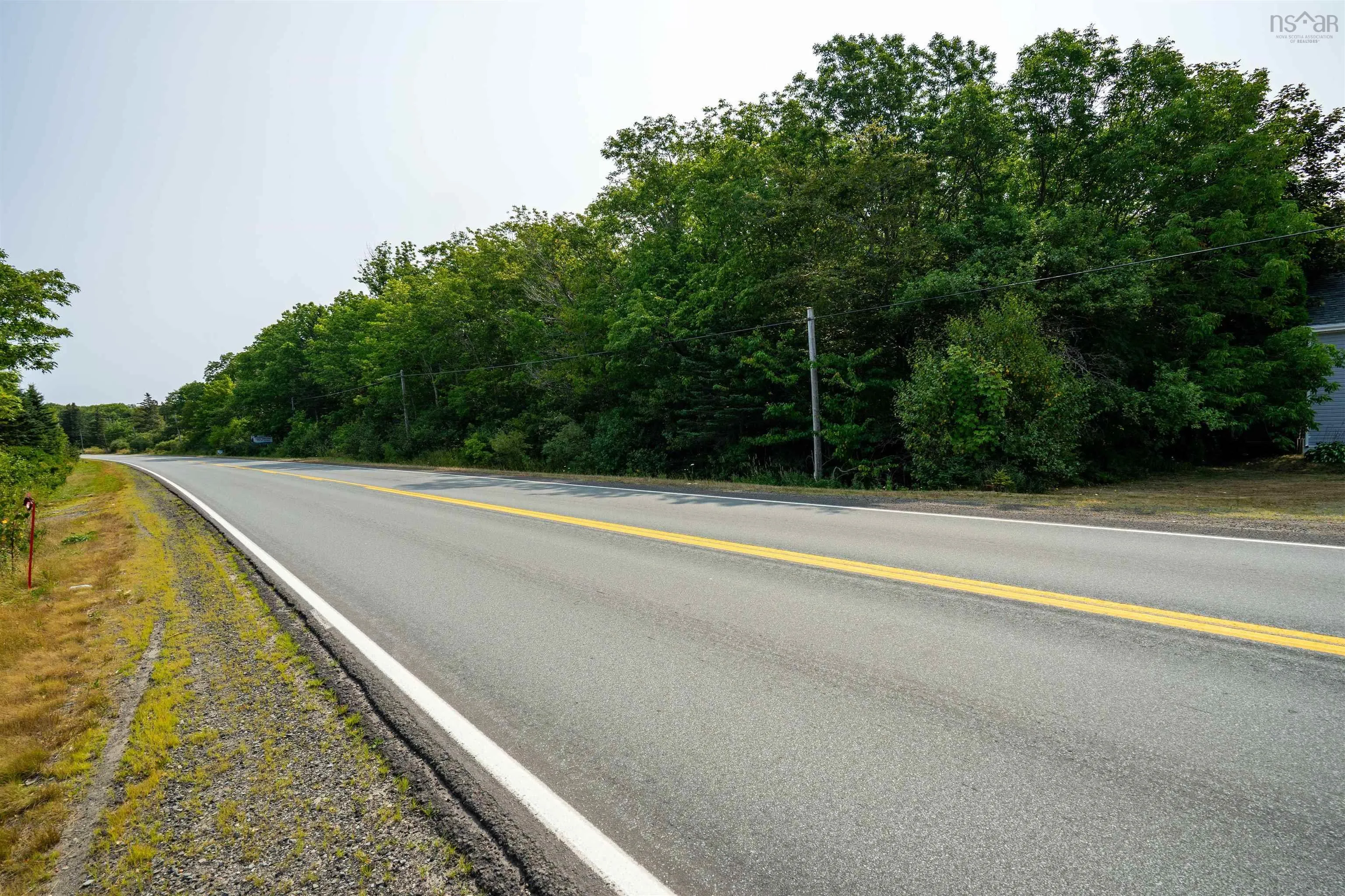 Highway 101, Plympton, NS B0W 2R0, ,Land,For Sale,Highway 101,202521802