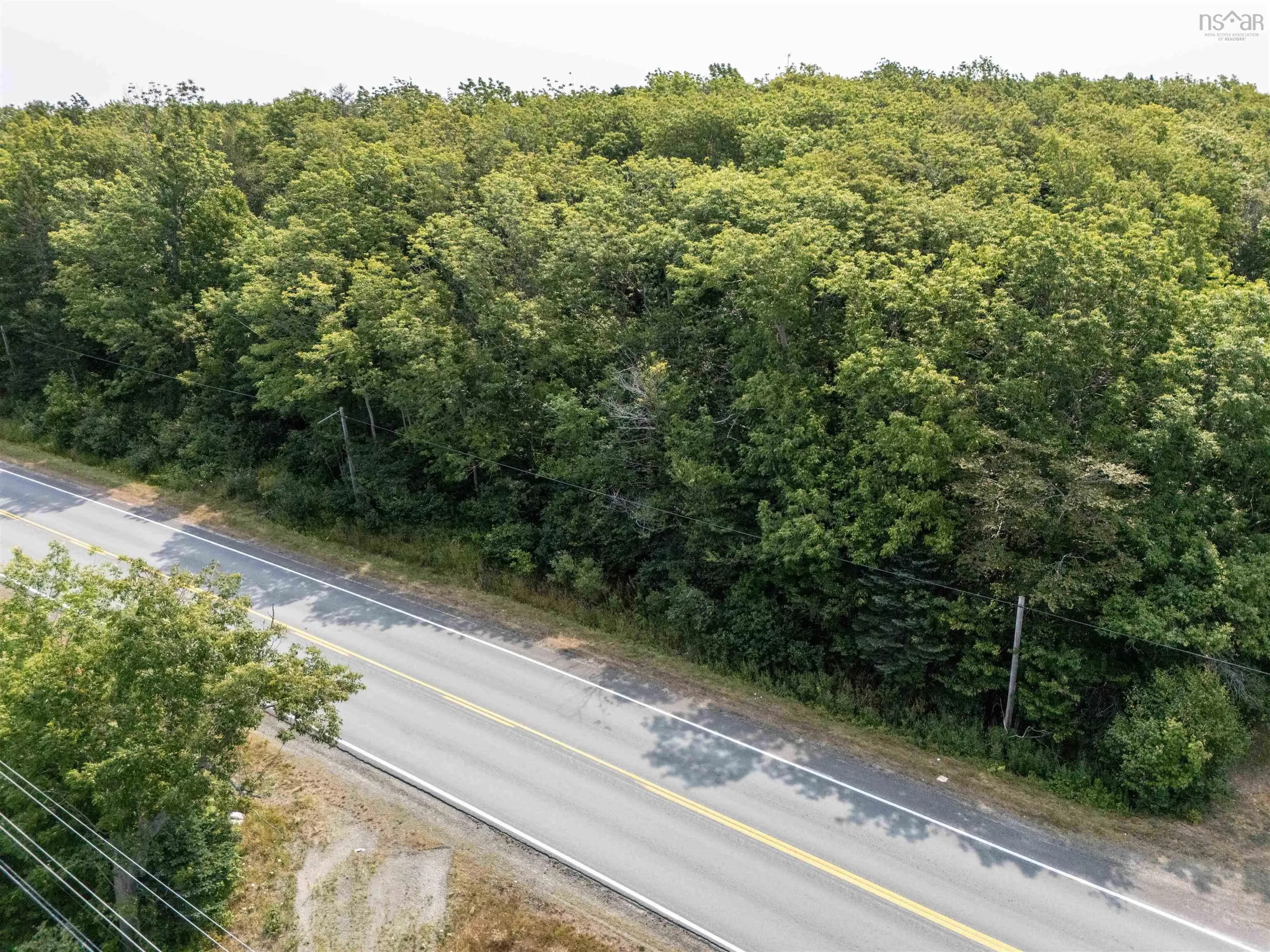 Highway 101, Plympton, NS B0W 2R0, ,Land,For Sale,Highway 101,202521802