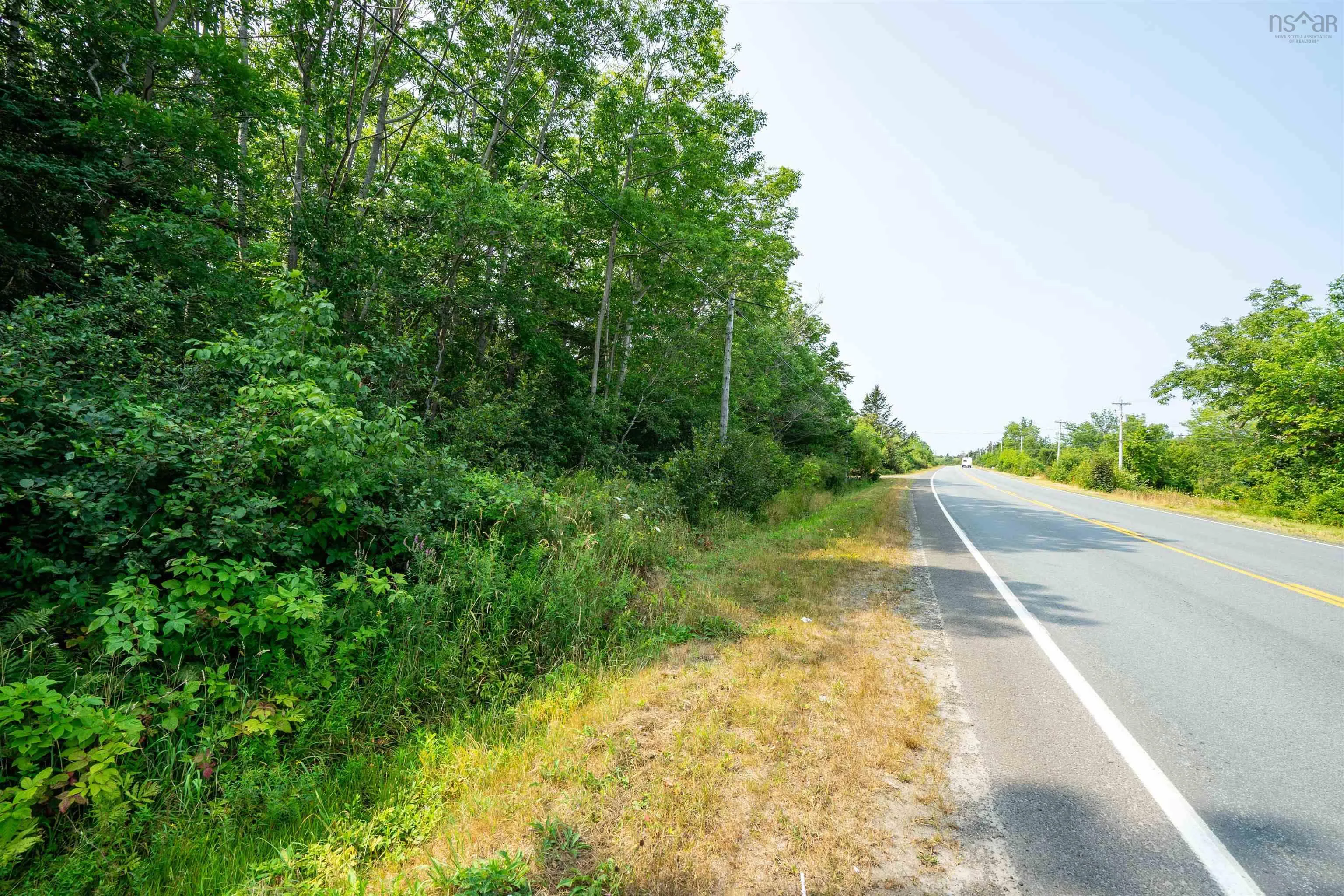 Highway 101, Plympton, NS B0W 2R0, ,Land,For Sale,Highway 101,202521802