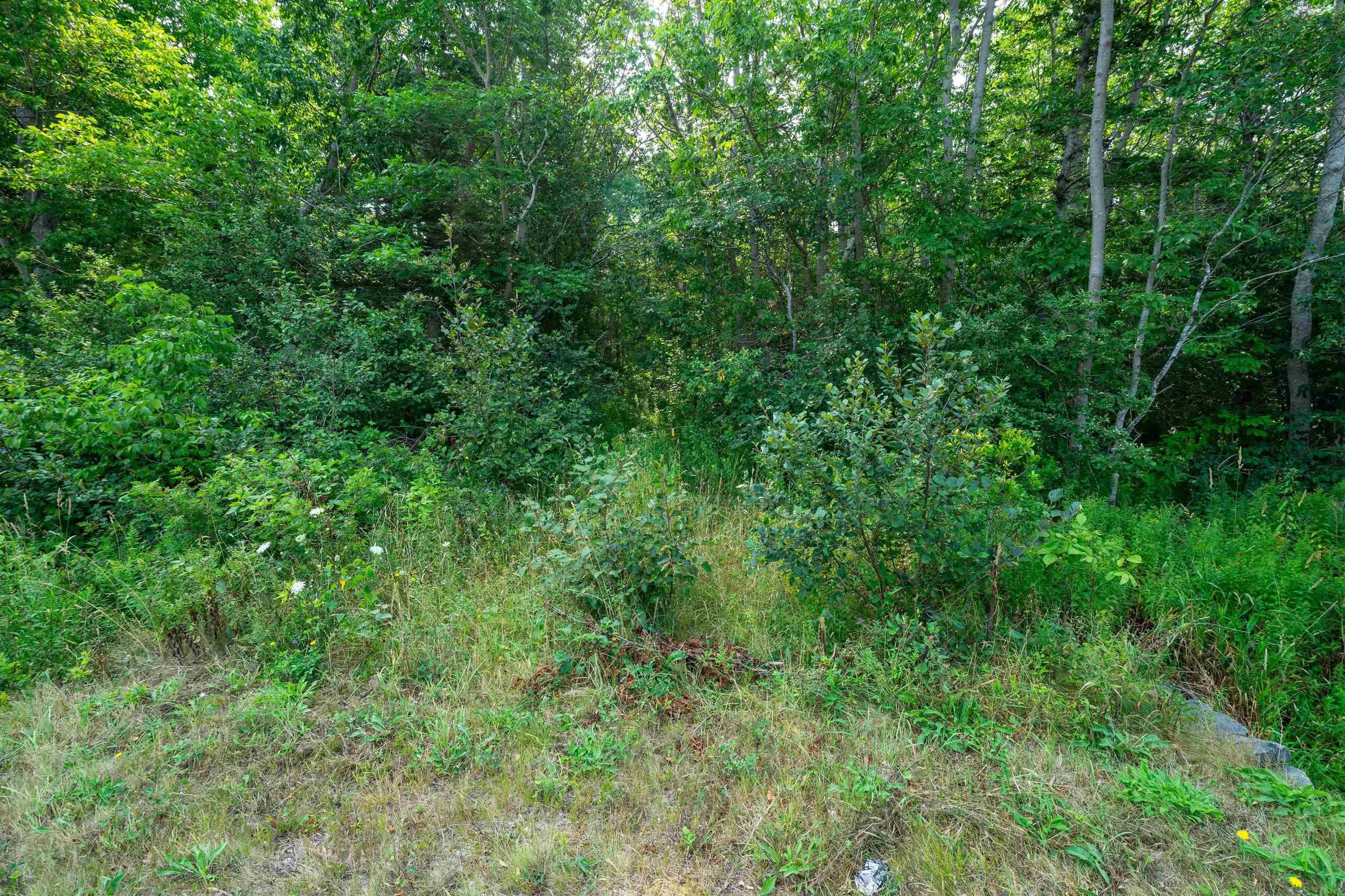 Highway 101, Plympton, NS B0W 2R0, ,Land,For Sale,Highway 101,202521802