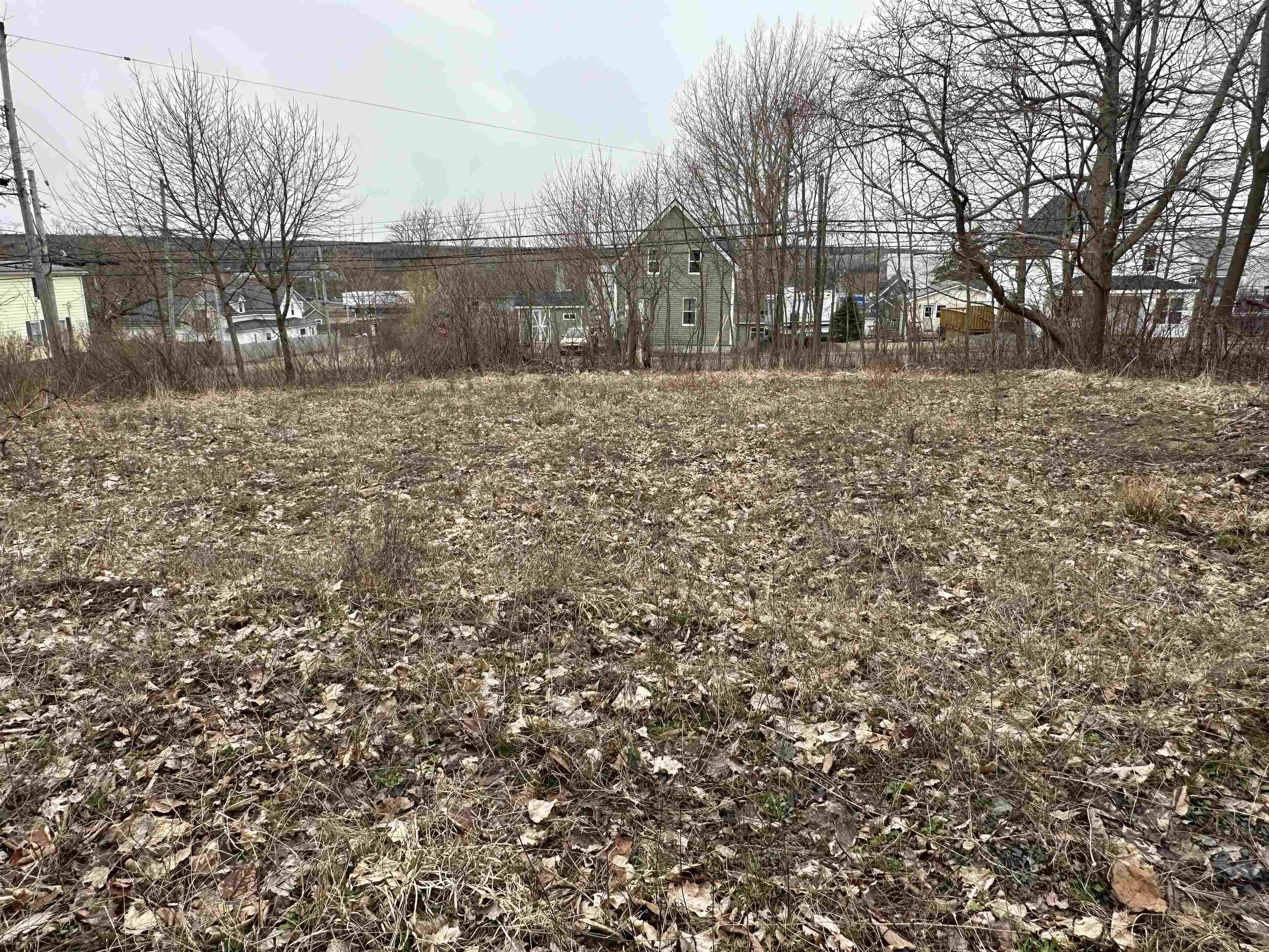 38 High Street, Trenton, NS B0K 1X0, ,Land,For Sale,High,202513209