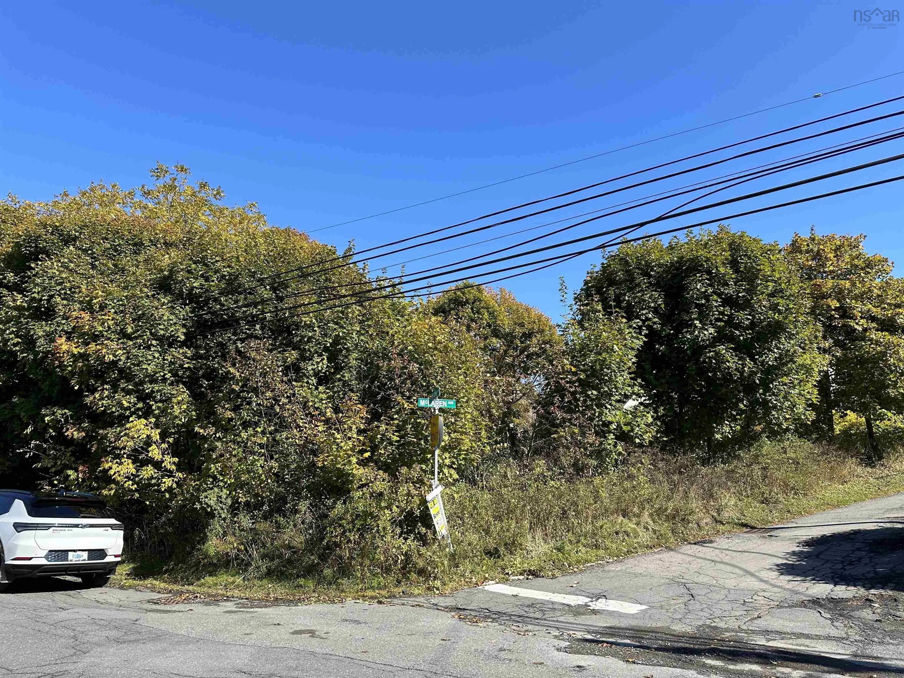 38 High Street, Trenton, NS B0K 1X0, ,Land,For Sale,High,202513209