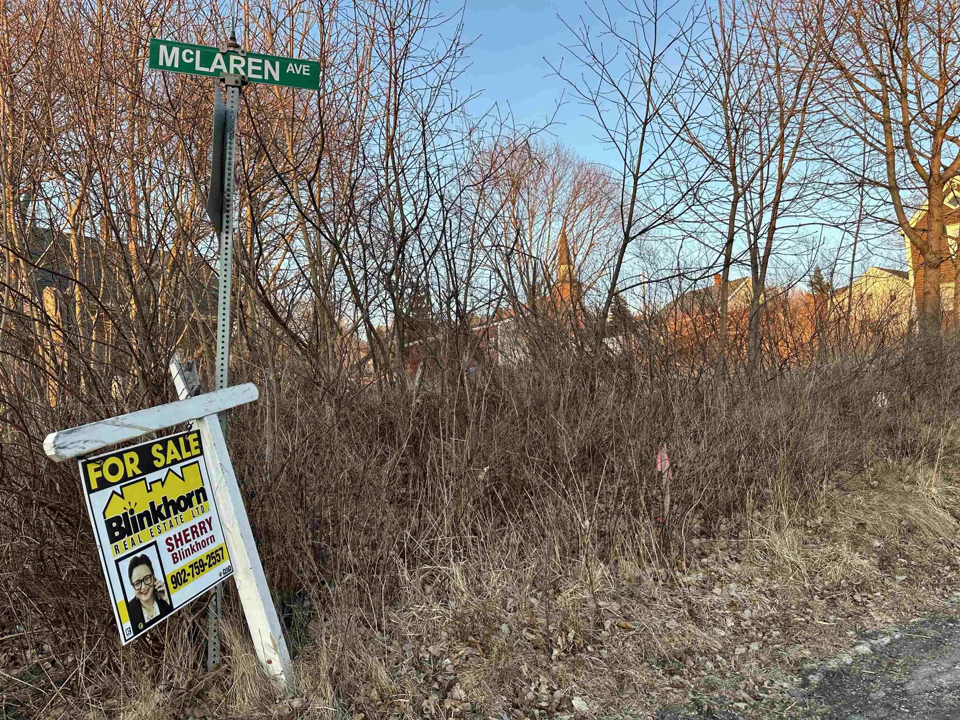 38 High Street, Trenton, NS B0K 1X0, ,Land,For Sale,High,202513209