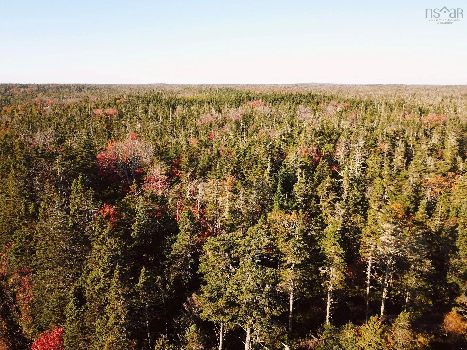 Shore Road, North East Harbour Ns B0t 1r0, ,Land,For Sale,Shore,202503009