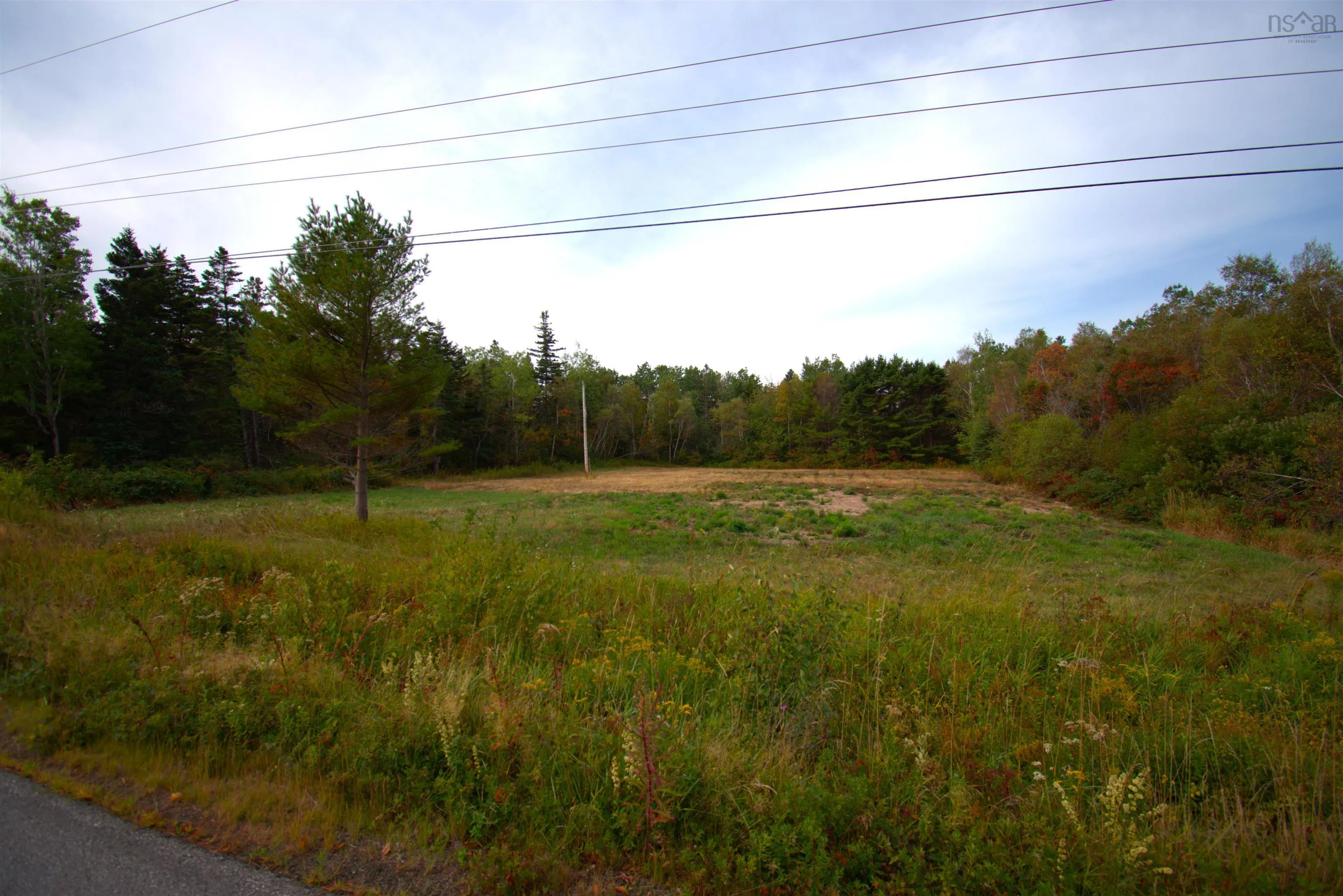 611 Brinton Road, Port Lorne, NS B0S 1R0, ,Land,For Sale,Brinton,202522804