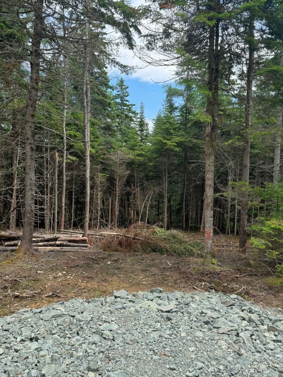 241 Walkerville Road Lot 1, Walkerville Ns B0e 1j0, ,Land,For Sale,Walkerville,202407301