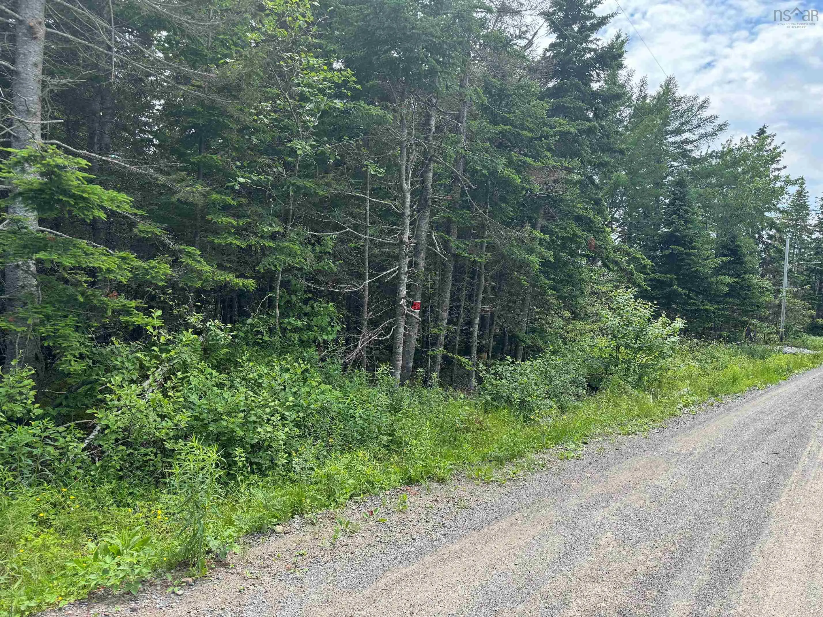 241 Walkerville Road Lot 1, Walkerville Ns B0e 1j0, ,Land,For Sale,Walkerville,202407301
