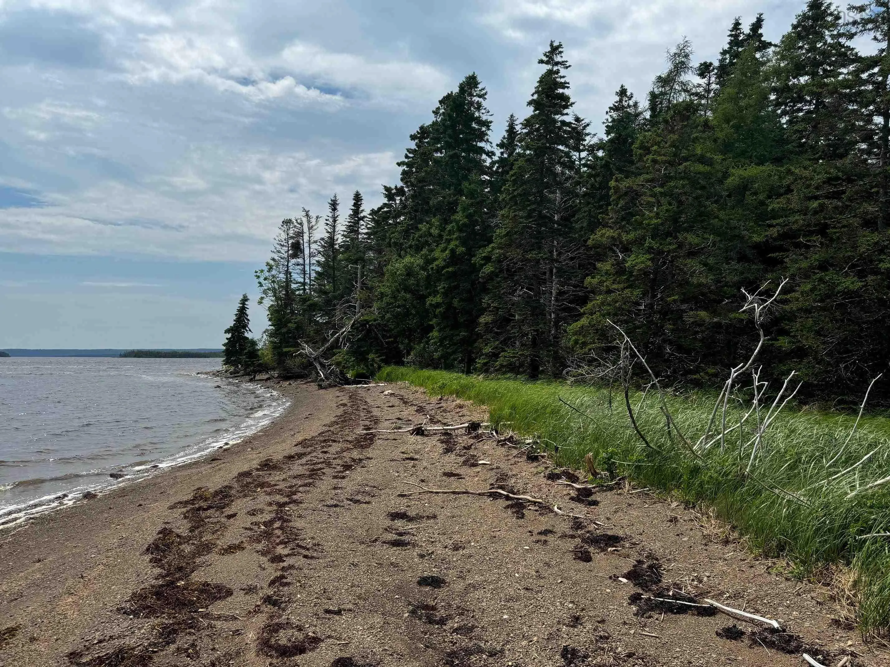 241 Walkerville Road Lot 1, Walkerville Ns B0e 1j0, ,Land,For Sale,Walkerville,202407301