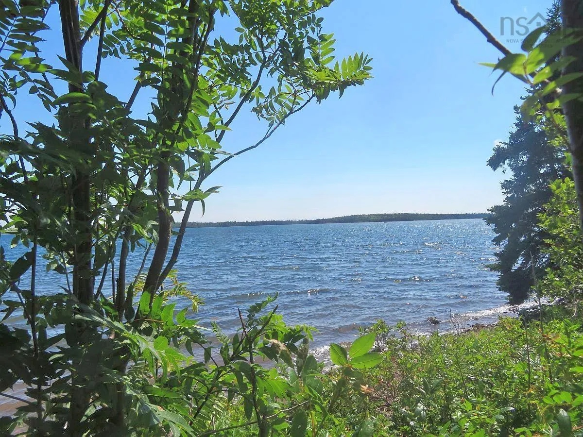 241 Walkerville Road Lot 1, Walkerville Ns B0e 1j0, ,Land,For Sale,Walkerville,202407301