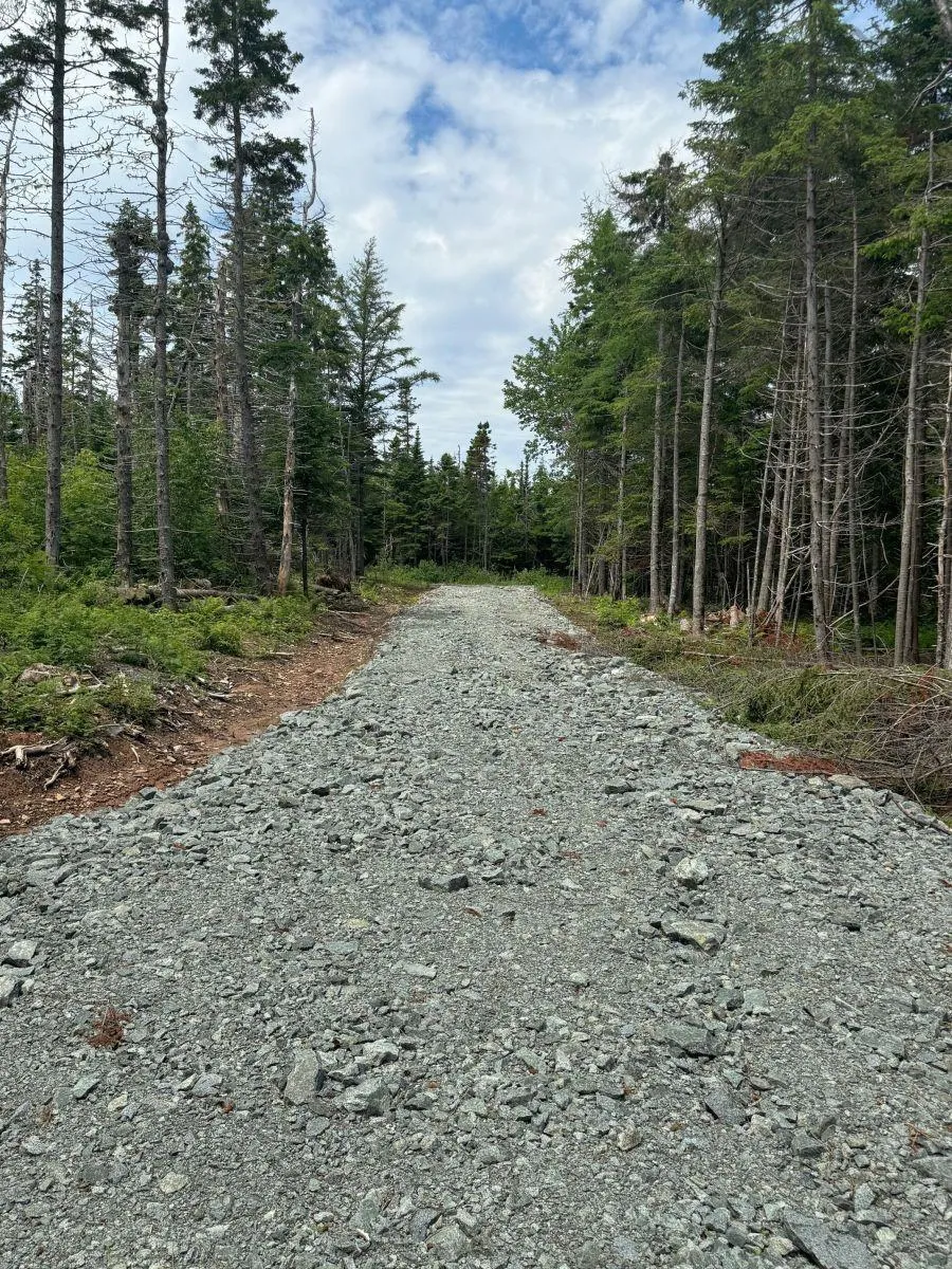 241 Walkerville Road Lot 1, Walkerville Ns B0e 1j0, ,Land,For Sale,Walkerville,202407301