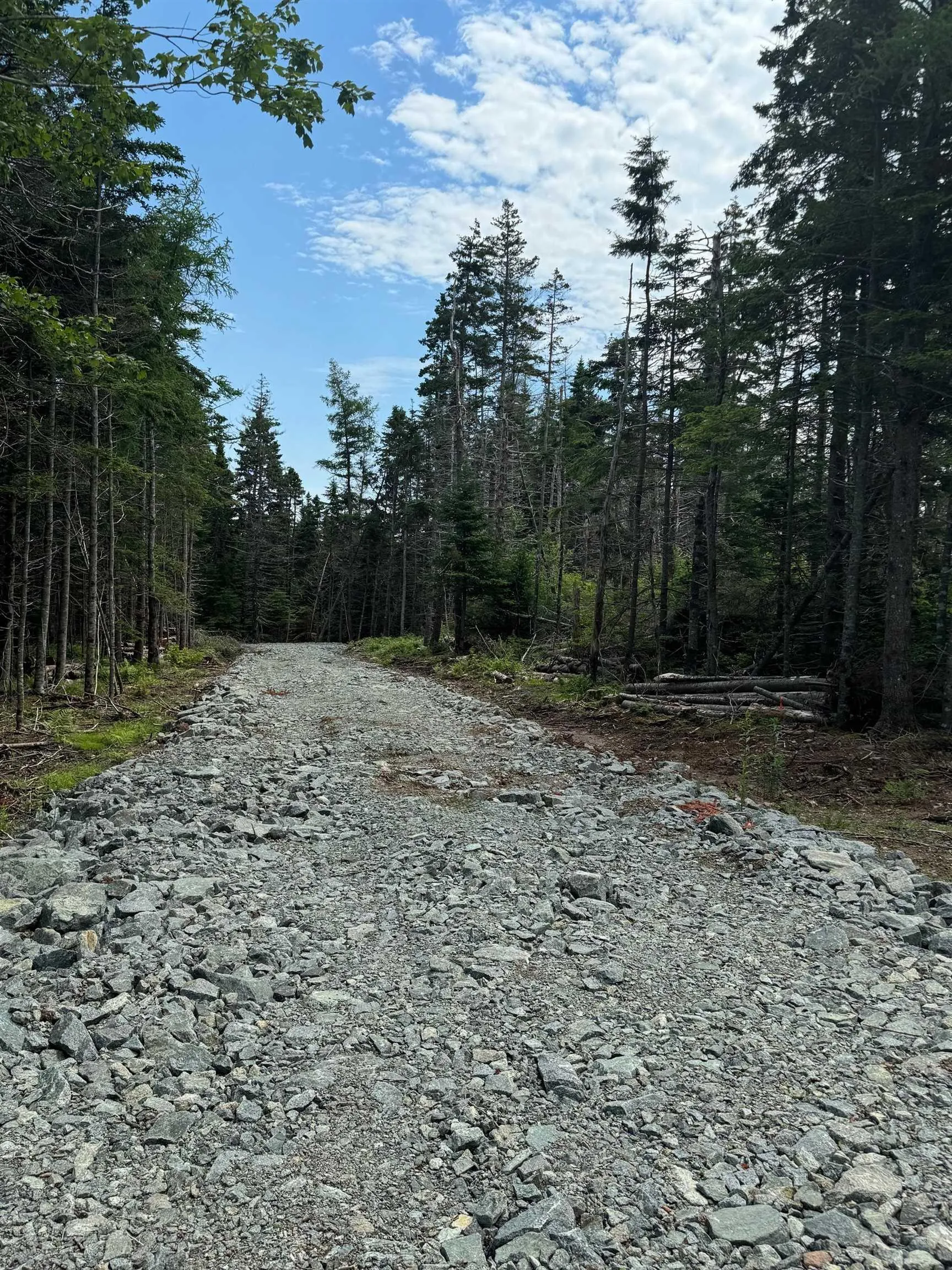 241 Walkerville Road Lot 1, Walkerville Ns B0e 1j0, ,Land,For Sale,Walkerville,202407301