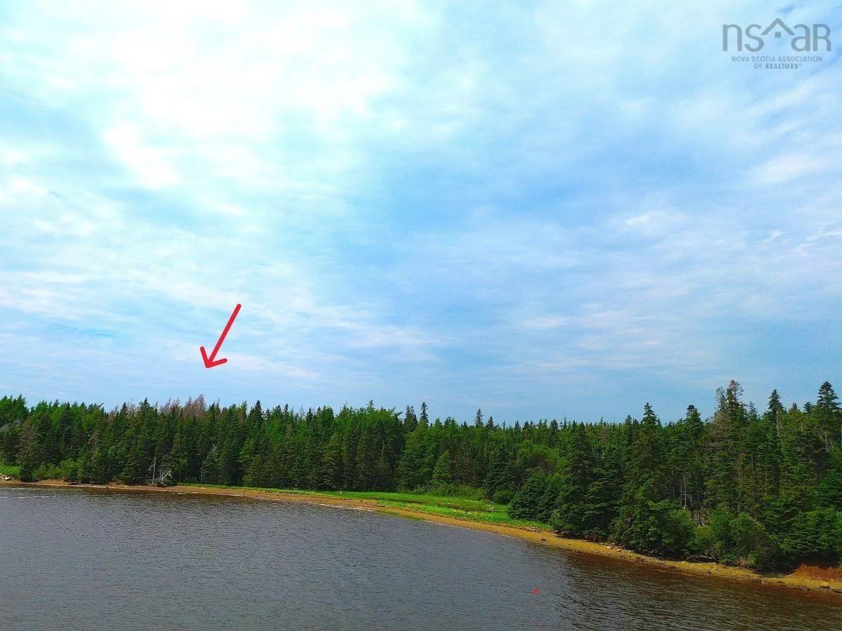 241 Walkerville Road Lot 1, Walkerville Ns B0e 1j0, ,Land,For Sale,Walkerville,202407301