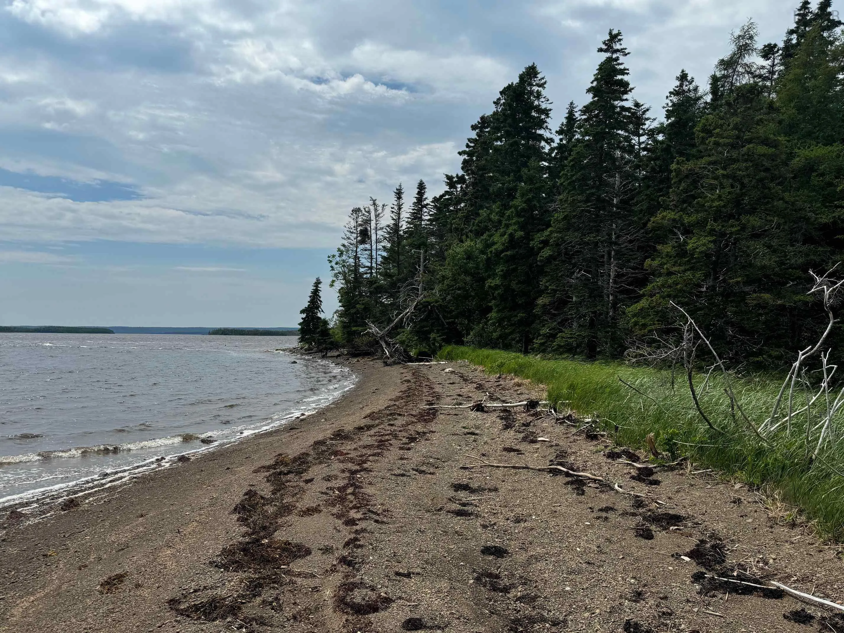 241 Walkerville Road Lot 1, Walkerville Ns B0e 1j0, ,Land,For Sale,Walkerville,202407301