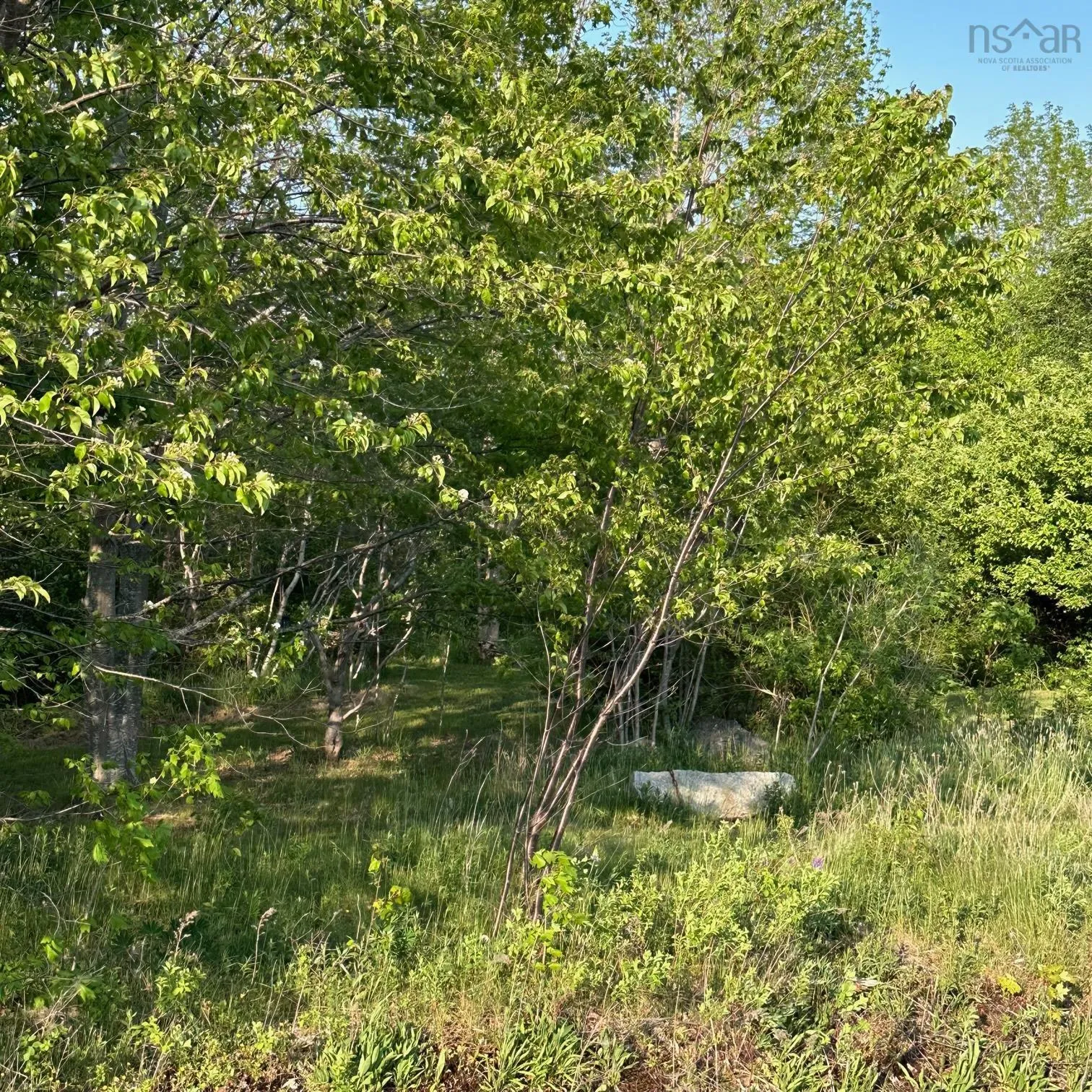 15 Conquerall Road, Hebbs Cross, NS B4V 0Z6, ,Land,For Sale,Conquerall,202522233