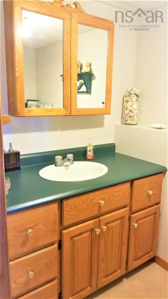 110 De Raymond Street, St. Peter's Ns B0e 3b0, 3 Bedrooms Bedrooms, ,2 BathroomsBathrooms,Residential,For Sale,De Raymond,202323837