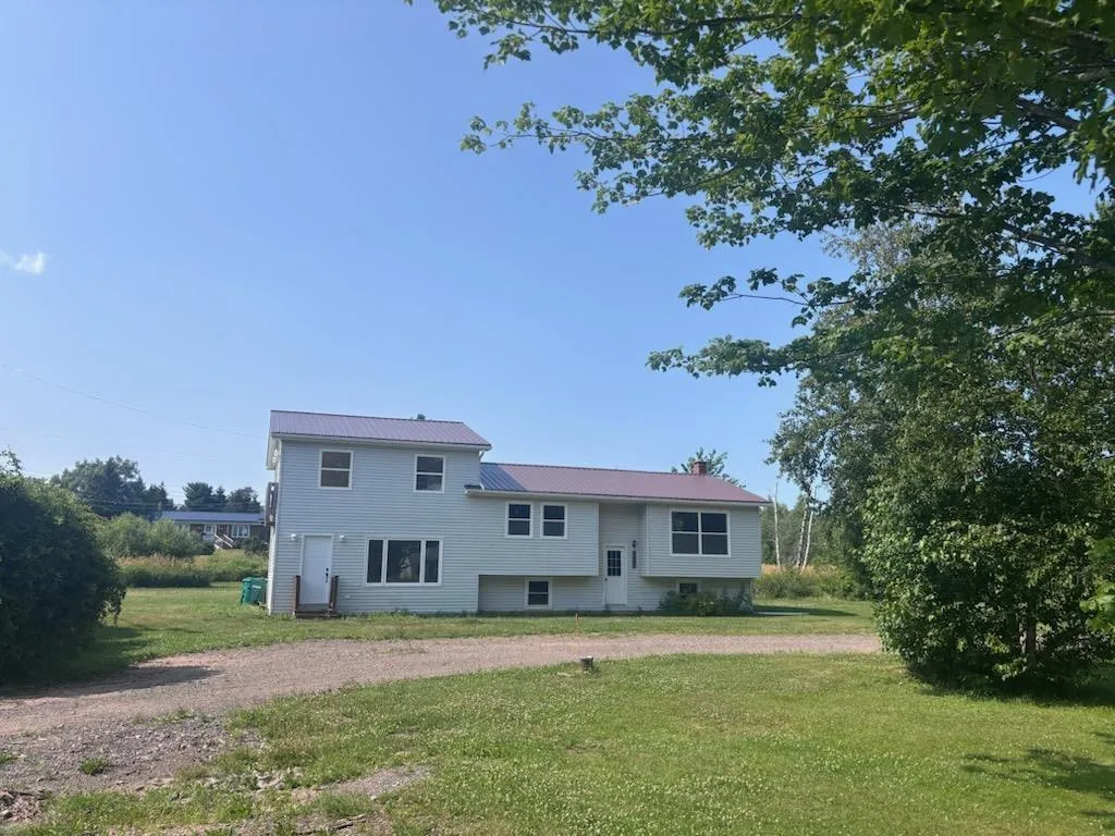 2447 Highway 376, Lyons Brook, NS B0K 1H0, 4 Bedrooms Bedrooms, ,2 BathroomsBathrooms,Residential,For Sale,Highway 376,202518811