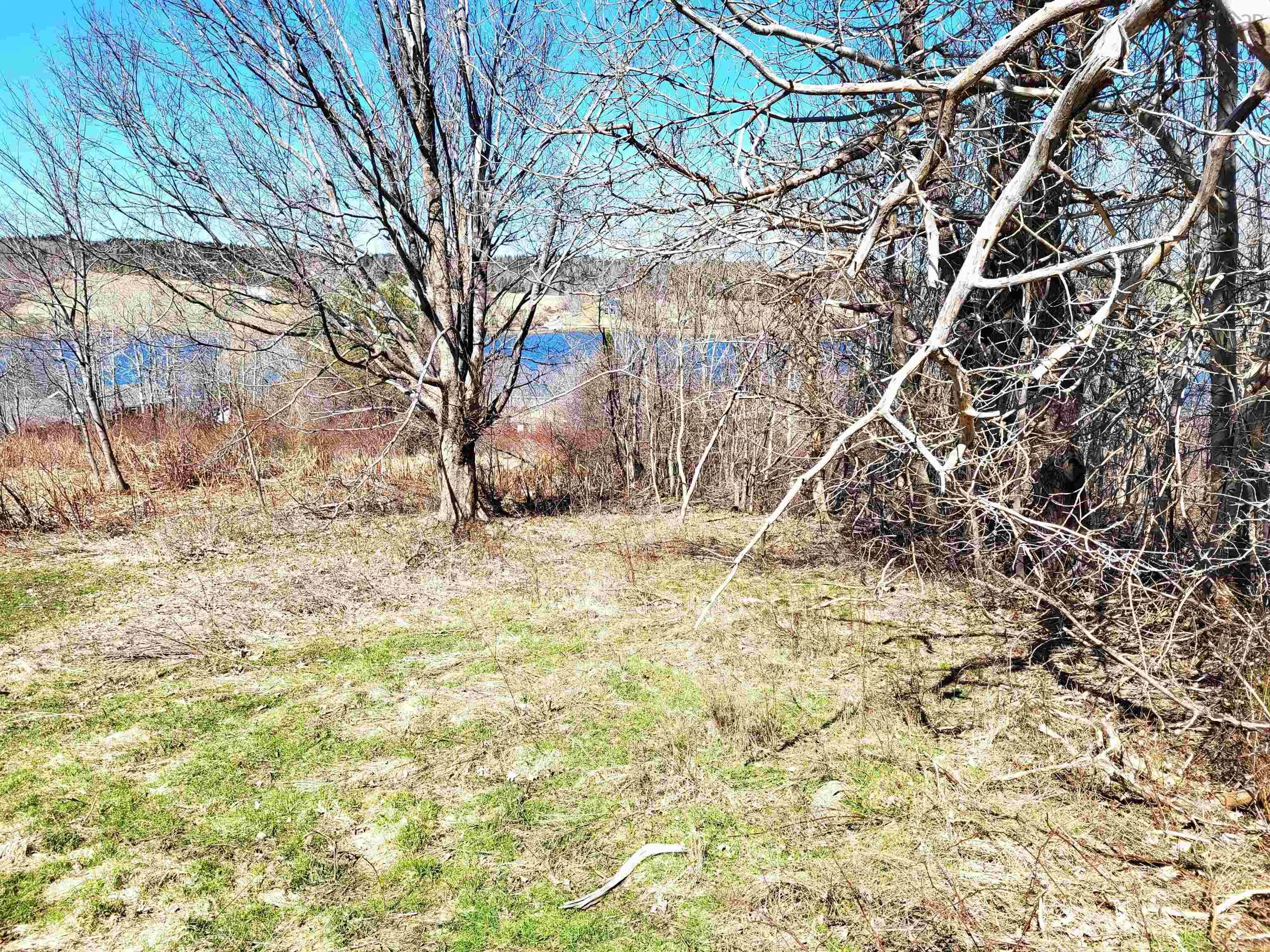 Creighton Street Lot 8, Lunenburg Ns B0j 2c0, ,Land,For Sale,Creighton,202407184