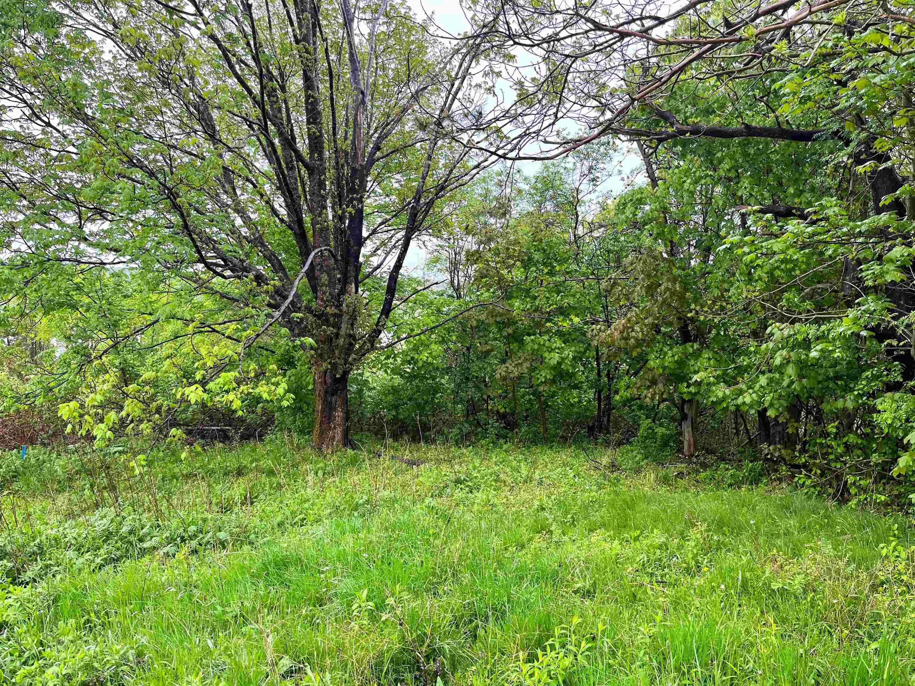 Creighton Street Lot 8, Lunenburg Ns B0j 2c0, ,Land,For Sale,Creighton,202407184