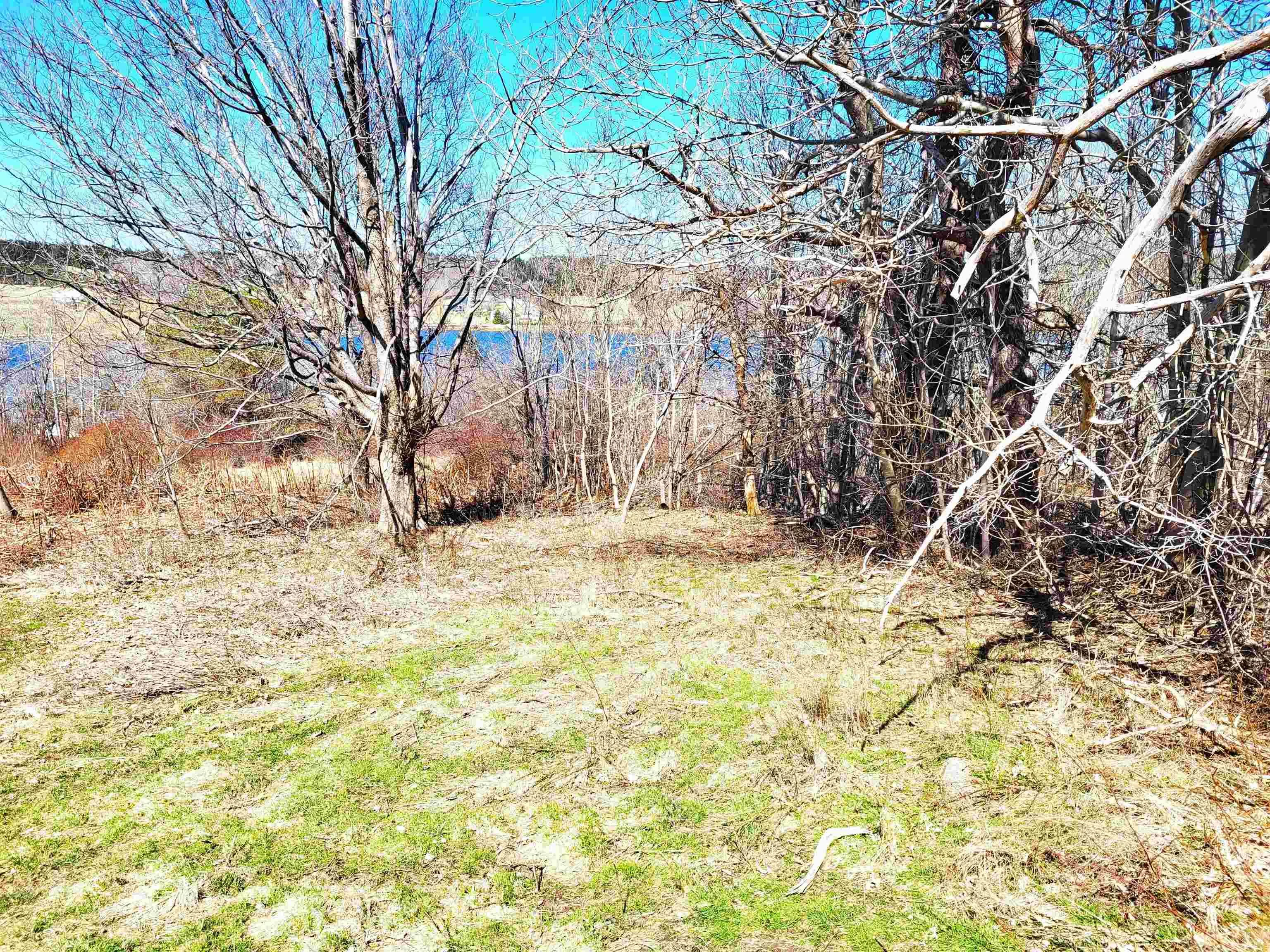 Creighton Street Lot 8, Lunenburg Ns B0j 2c0, ,Land,For Sale,Creighton,202407184