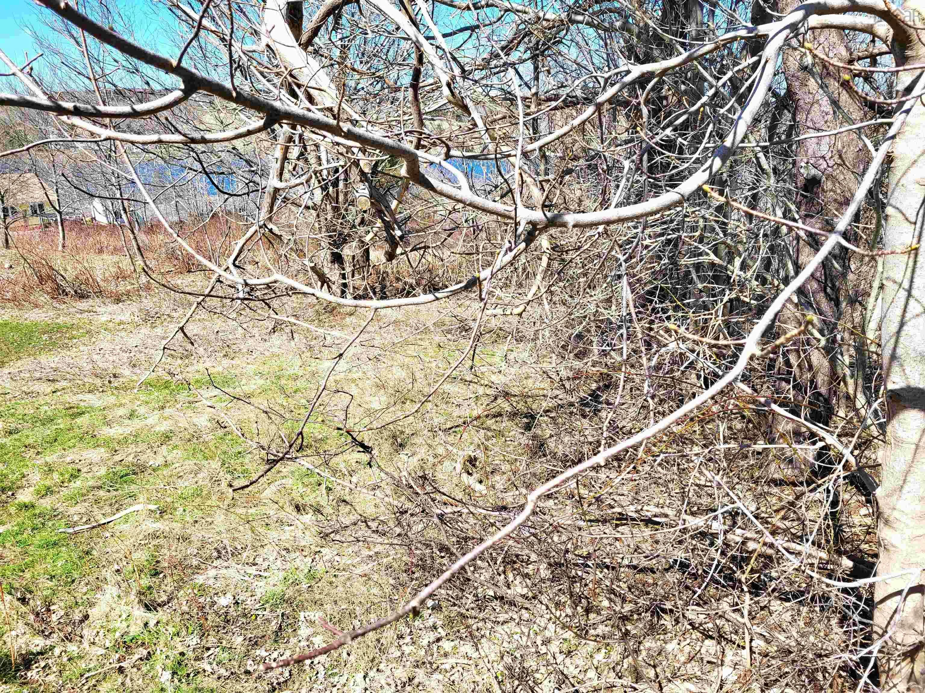 Creighton Street Lot 8, Lunenburg Ns B0j 2c0, ,Land,For Sale,Creighton,202407184