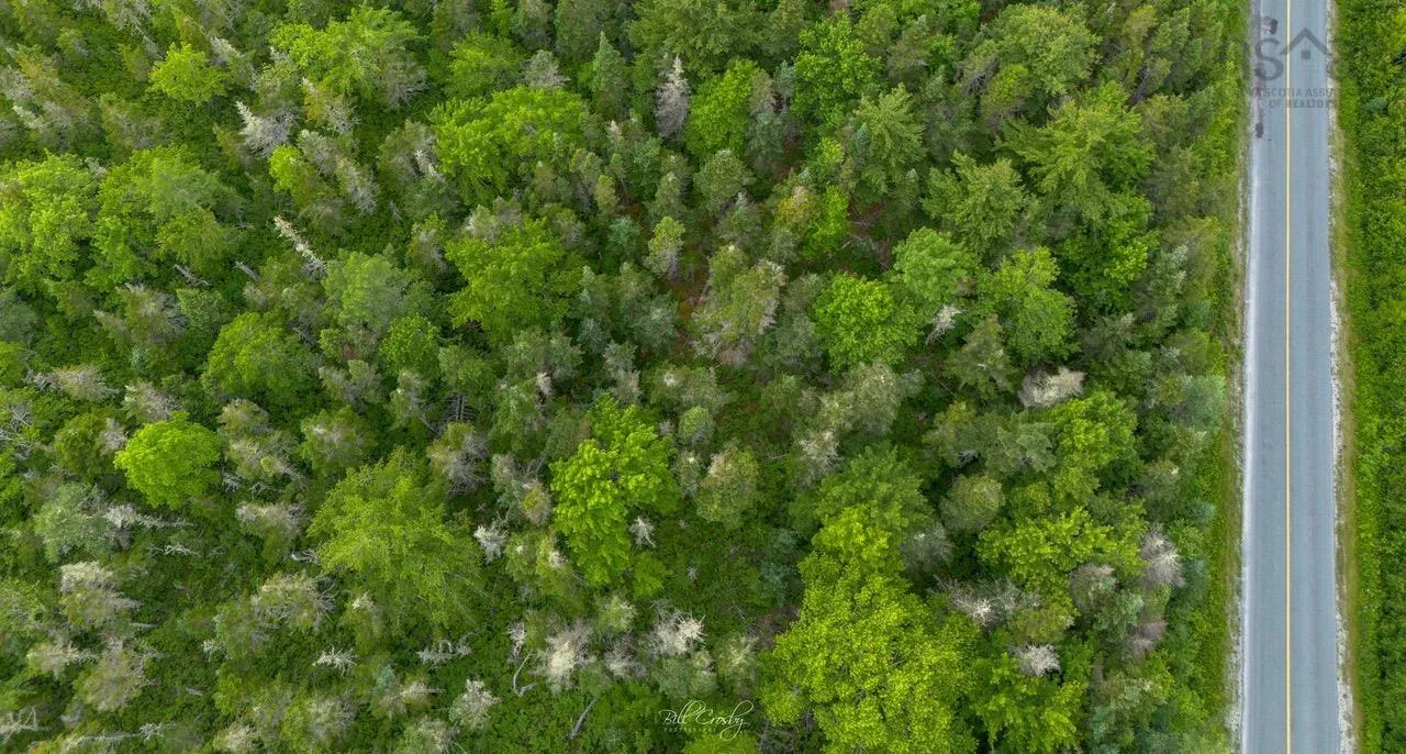 Lot 3 East Sable Road, East Sable River, NS B0T 1V0, ,Land,For Sale,East Sable,202520396