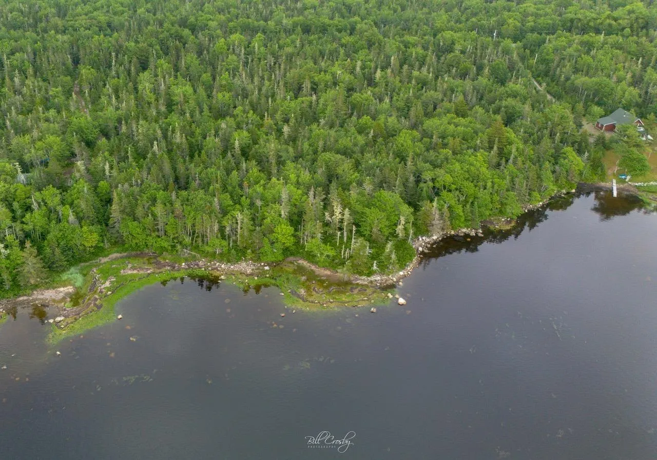 Lot 3 East Sable Road, East Sable River, NS B0T 1V0, ,Land,For Sale,East Sable,202520396