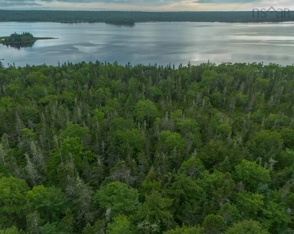 Lot 3 East Sable Road, East Sable River, NS B0T 1V0, ,Land,For Sale,East Sable,202520396