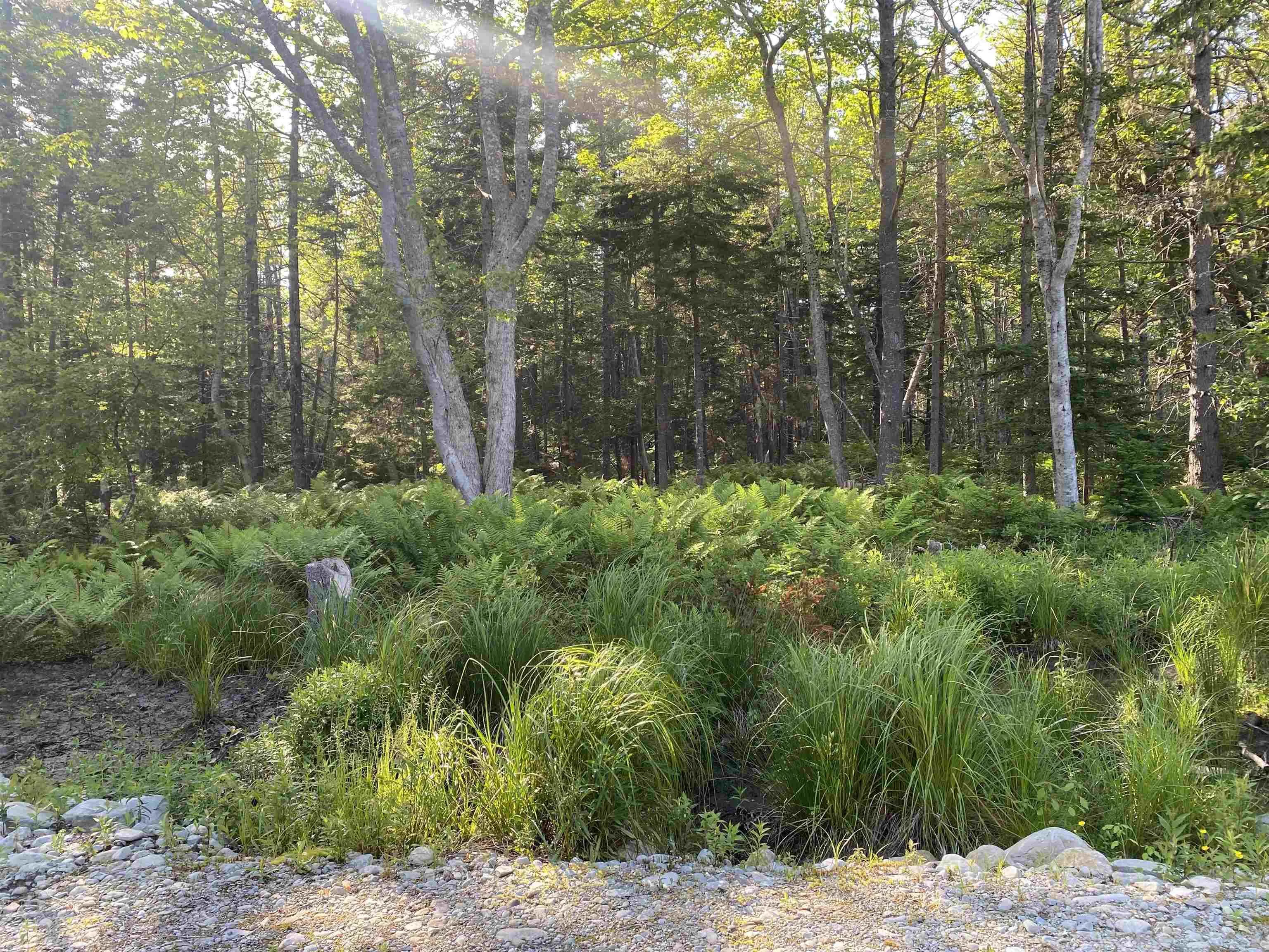 White Point 1 Road, White Point, NS B0T 1G0, ,Land,For Sale,White Point 1 Road,202515294
