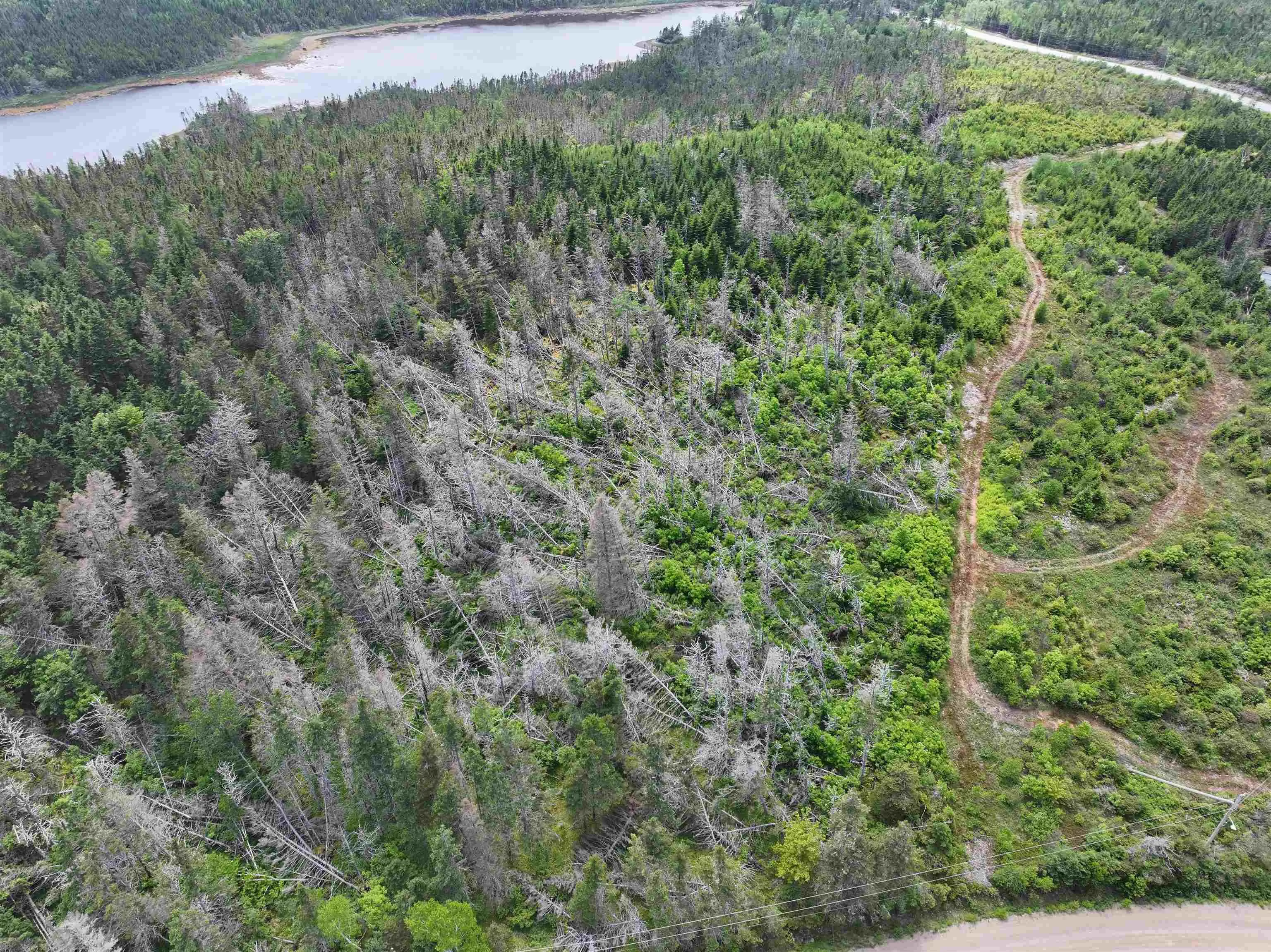 Lot 1 Mackinley Point Road, Spanish Ship Bay Ns B0j 1a0, ,Land,For Sale,Mackinley Point,202502542