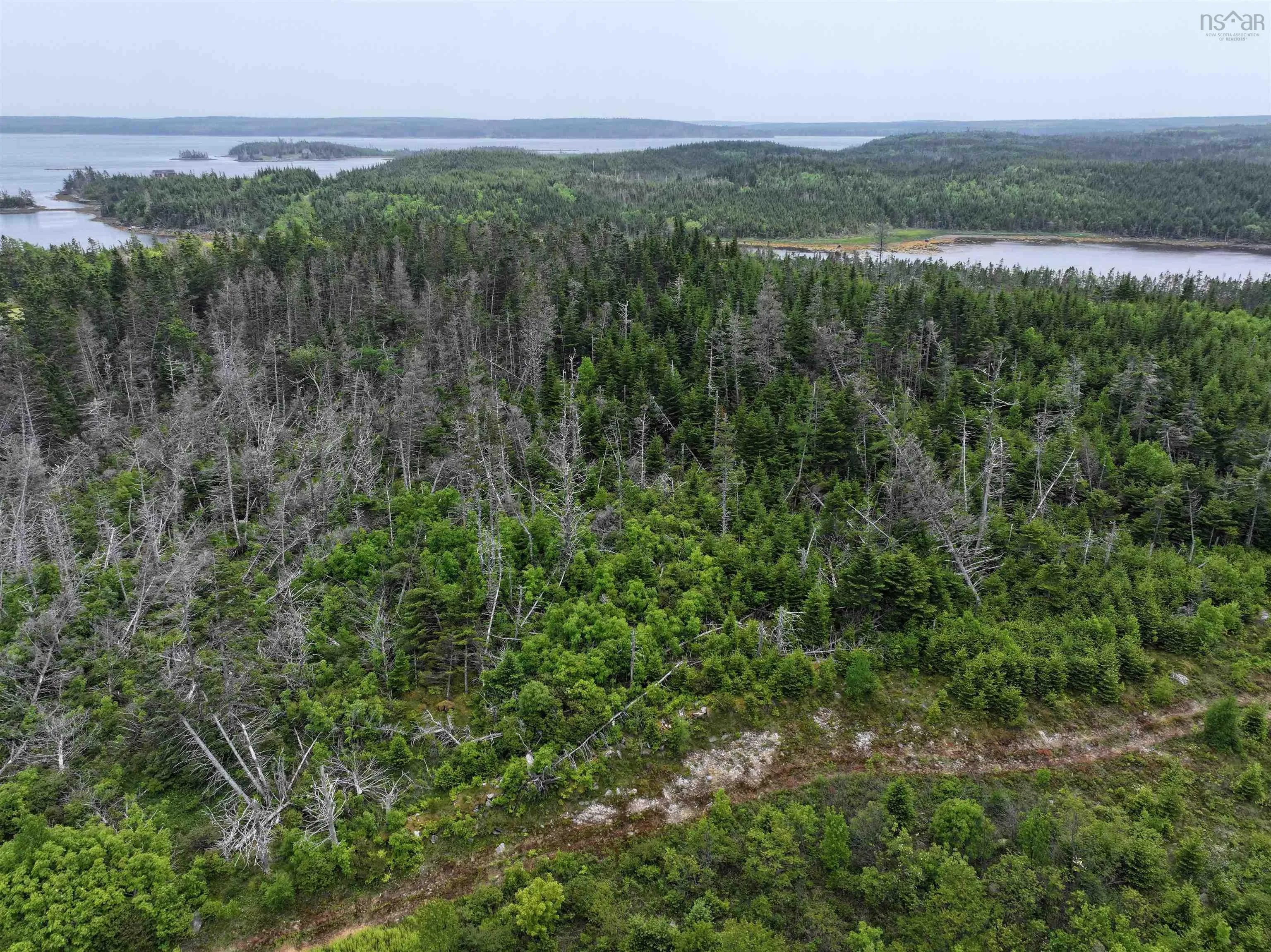 Lot 1 Mackinley Point Road, Spanish Ship Bay Ns B0j 1a0, ,Land,For Sale,Mackinley Point,202502542
