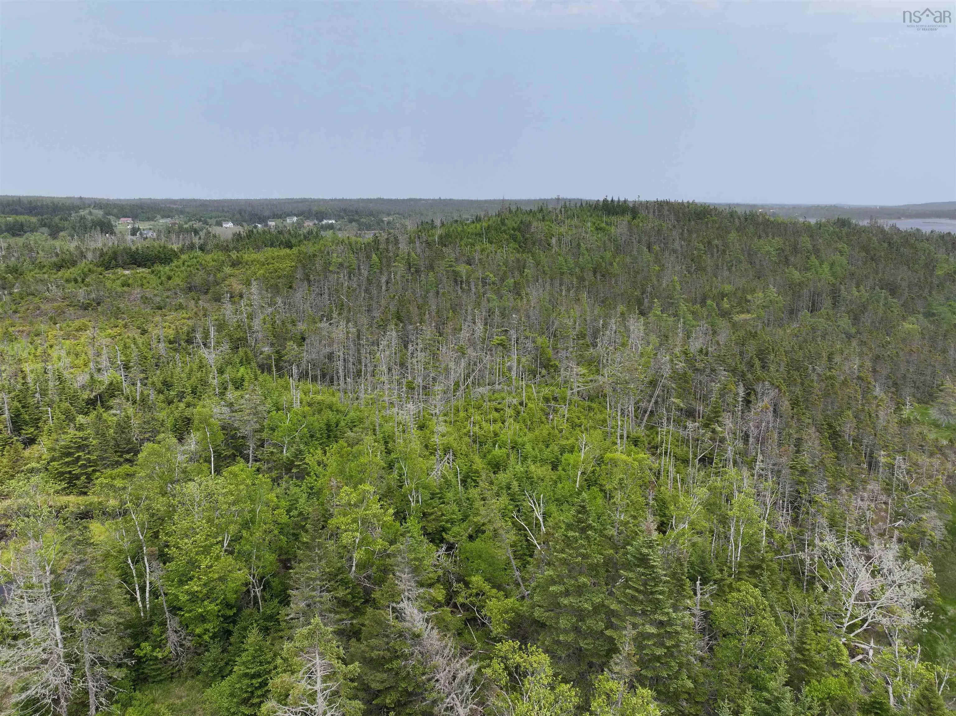 Lot 1 Mackinley Point Road, Spanish Ship Bay Ns B0j 1a0, ,Land,For Sale,Mackinley Point,202502542