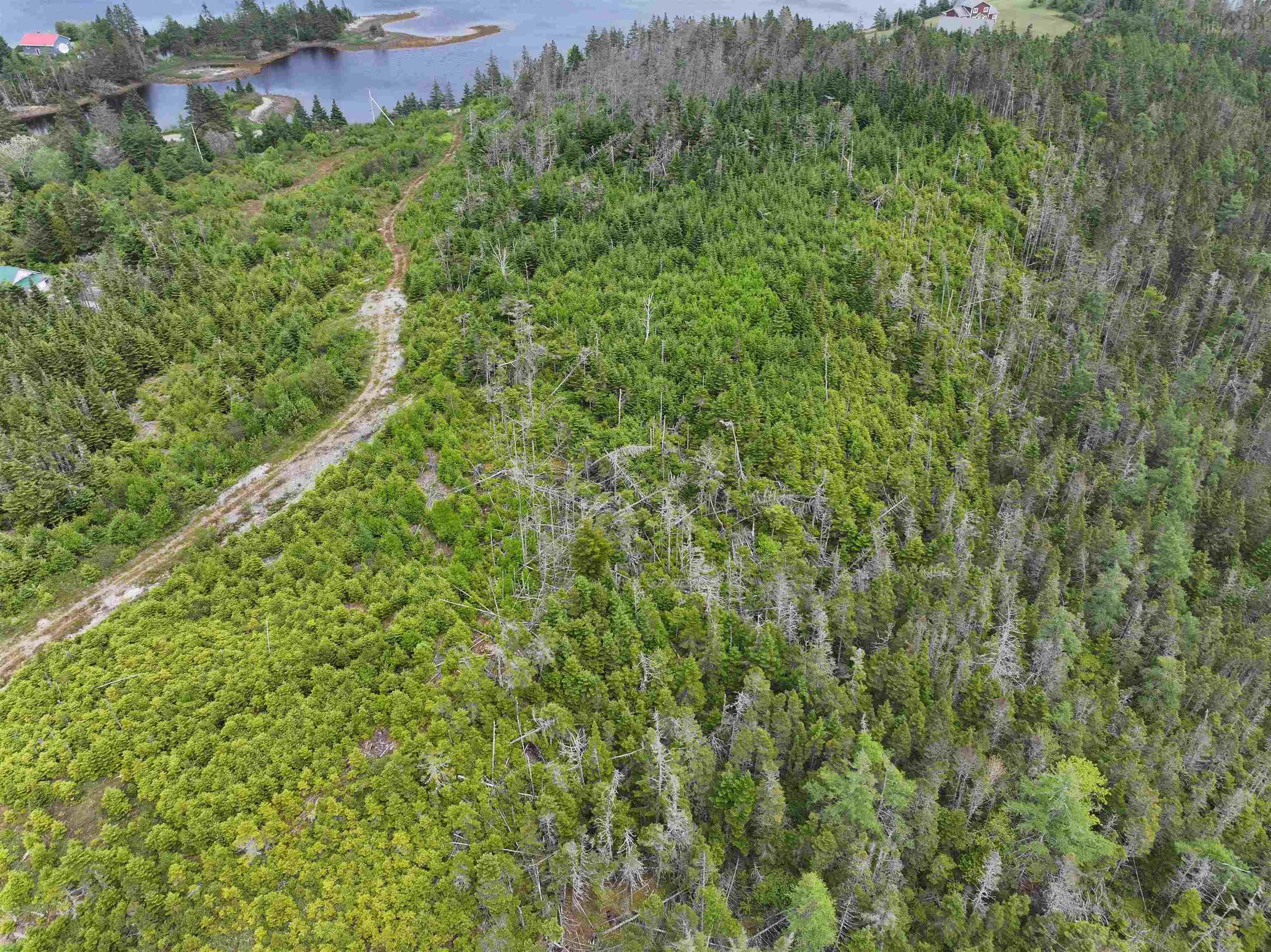 Lot 1 Mackinley Point Road, Spanish Ship Bay Ns B0j 1a0, ,Land,For Sale,Mackinley Point,202502542