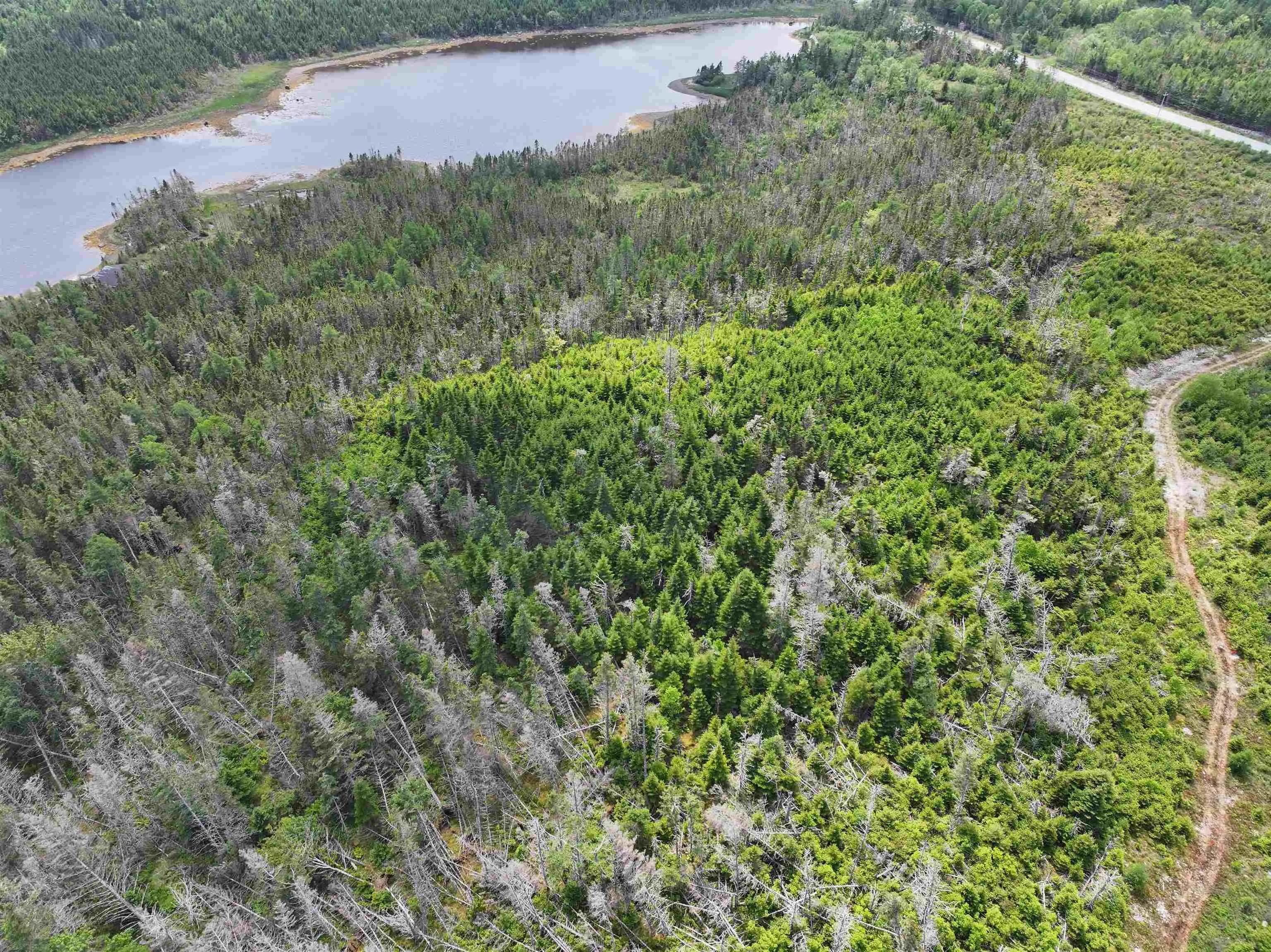 Lot 1 Mackinley Point Road, Spanish Ship Bay Ns B0j 1a0, ,Land,For Sale,Mackinley Point,202502542