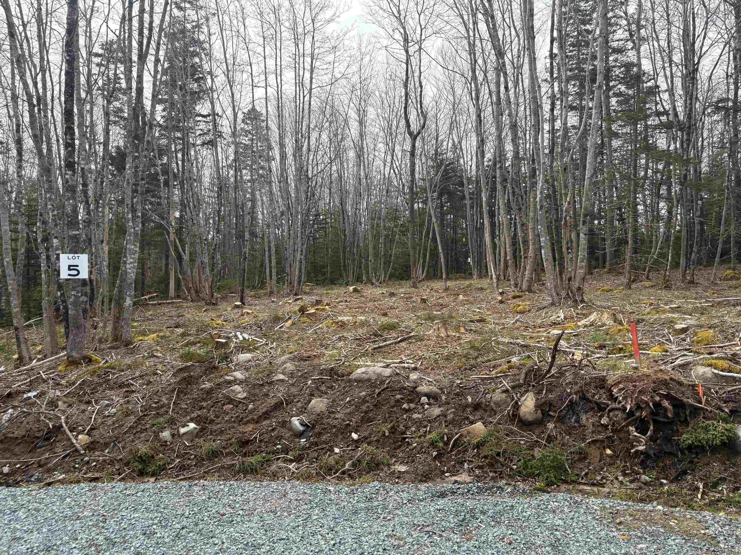 Larry Seldon Lane Lot 5, Western Head, NS B0T 1K0, ,Land,For Sale,Larry Seldon,202427653