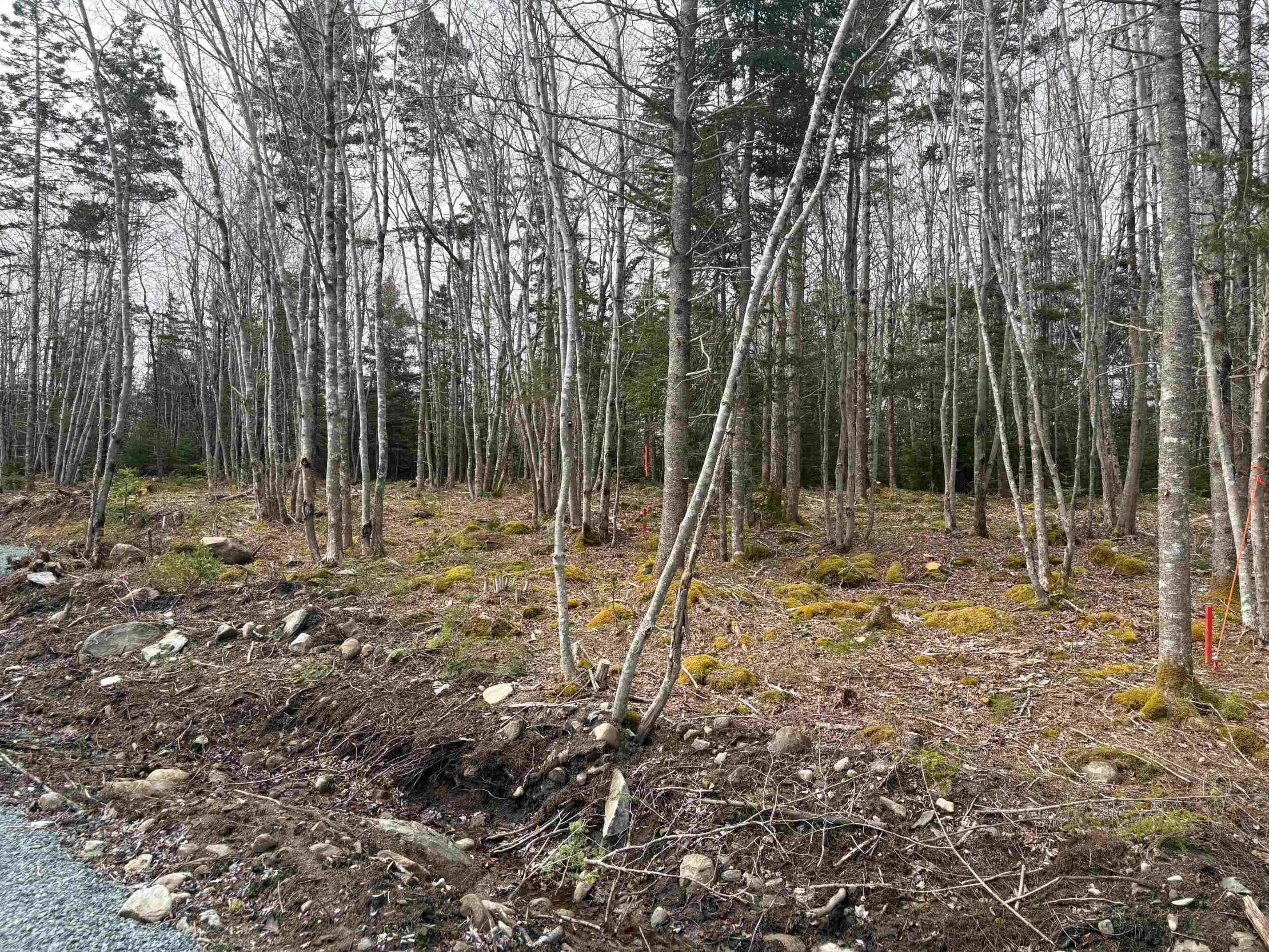 Larry Seldon Lane Lot 5, Western Head, NS B0T 1K0, ,Land,For Sale,Larry Seldon,202427653