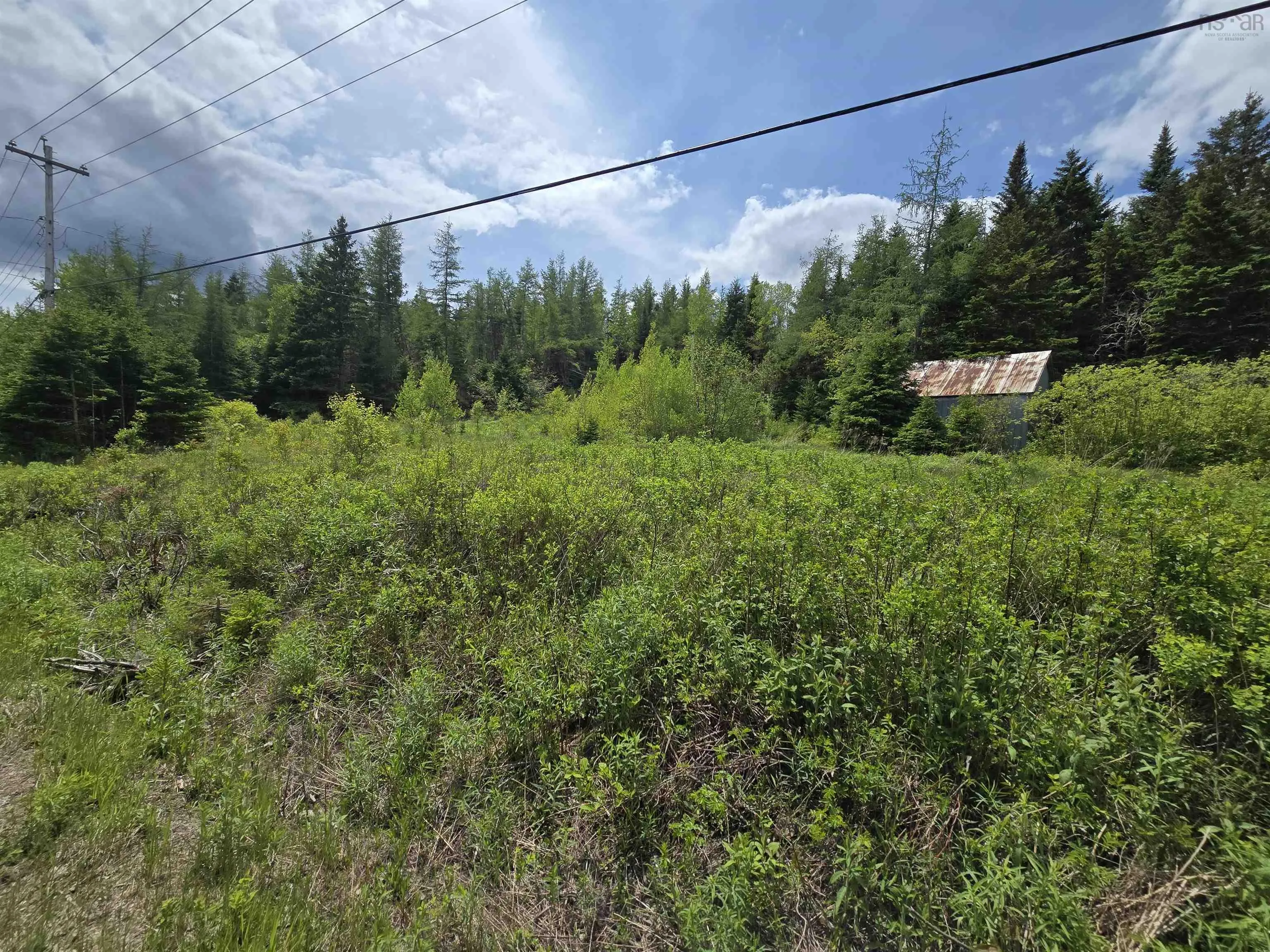 17987 Highway 316, Country Harbour, NS B0H 0B1, ,Land,For Sale,Highway 316,202513447