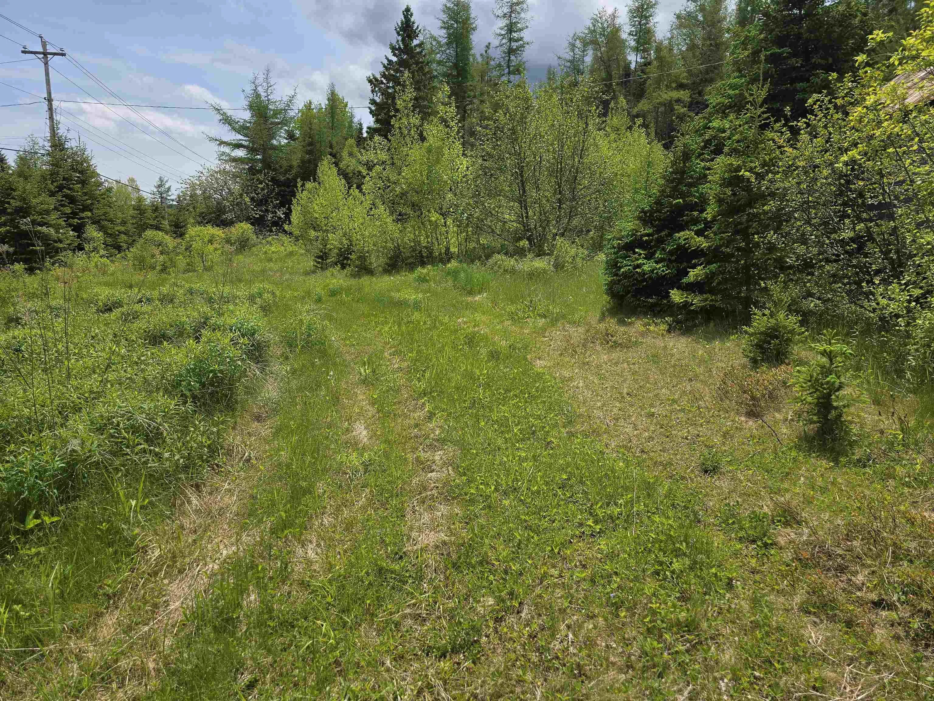17987 Highway 316, Country Harbour, NS B0H 0B1, ,Land,For Sale,Highway 316,202513447