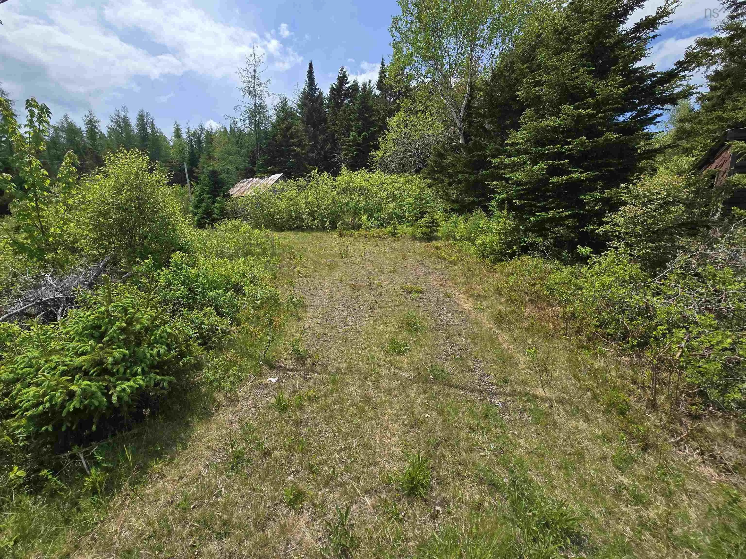 17987 Highway 316, Country Harbour, NS B0H 0B1, ,Land,For Sale,Highway 316,202513447