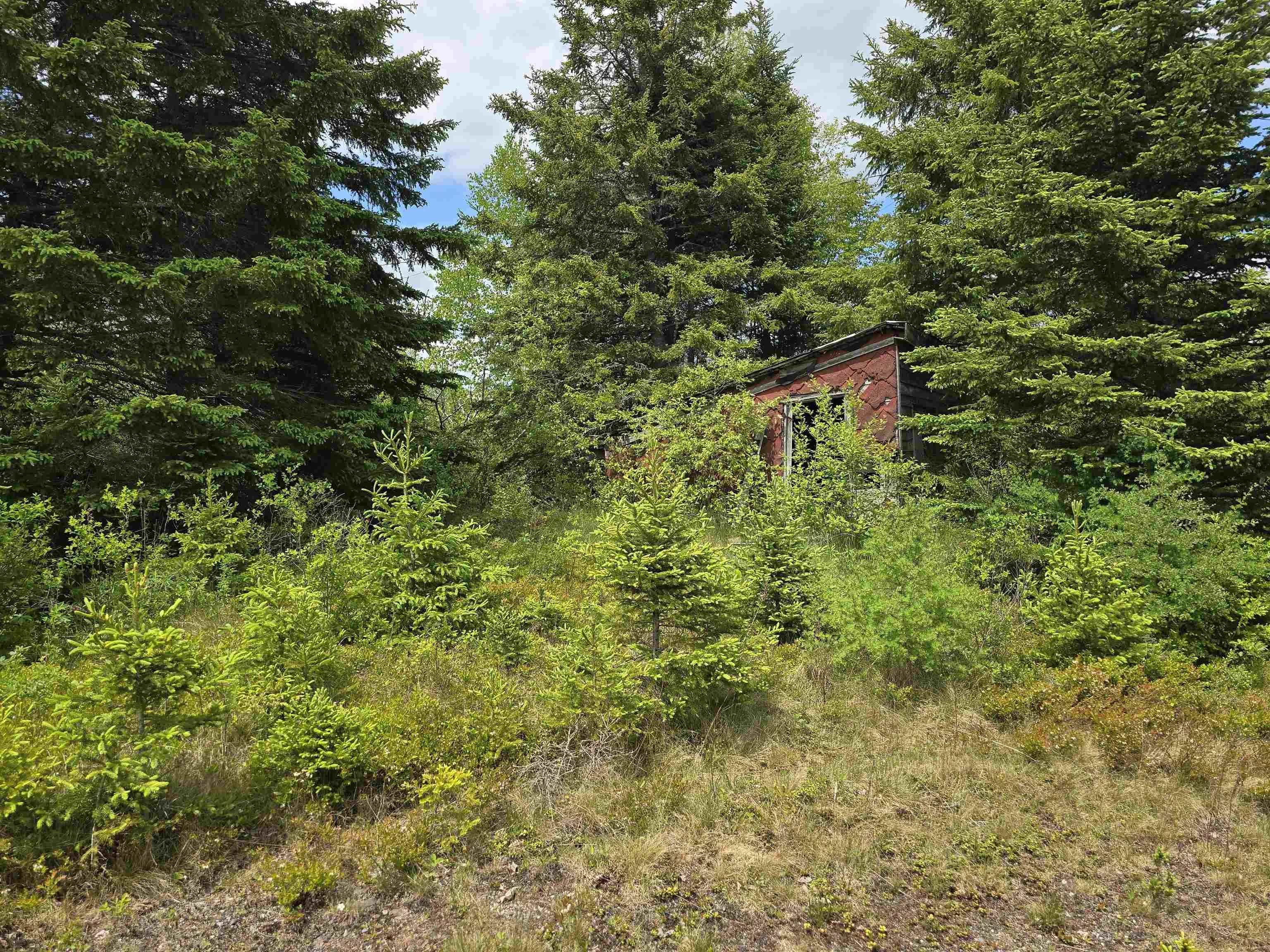 17987 Highway 316, Country Harbour, NS B0H 0B1, ,Land,For Sale,Highway 316,202513447