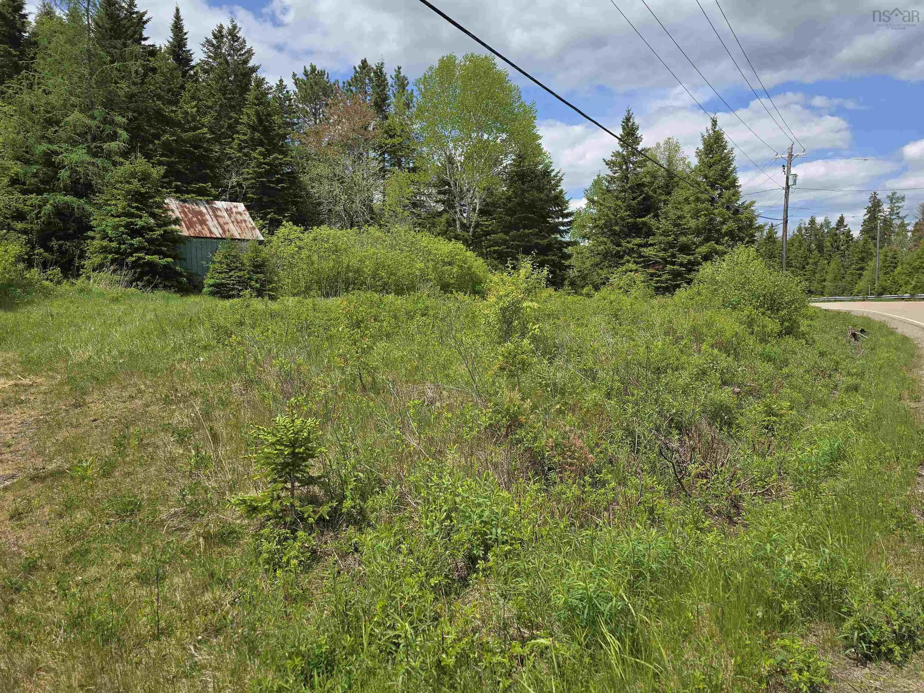 17987 Highway 316, Country Harbour, NS B0H 0B1, ,Land,For Sale,Highway 316,202513447