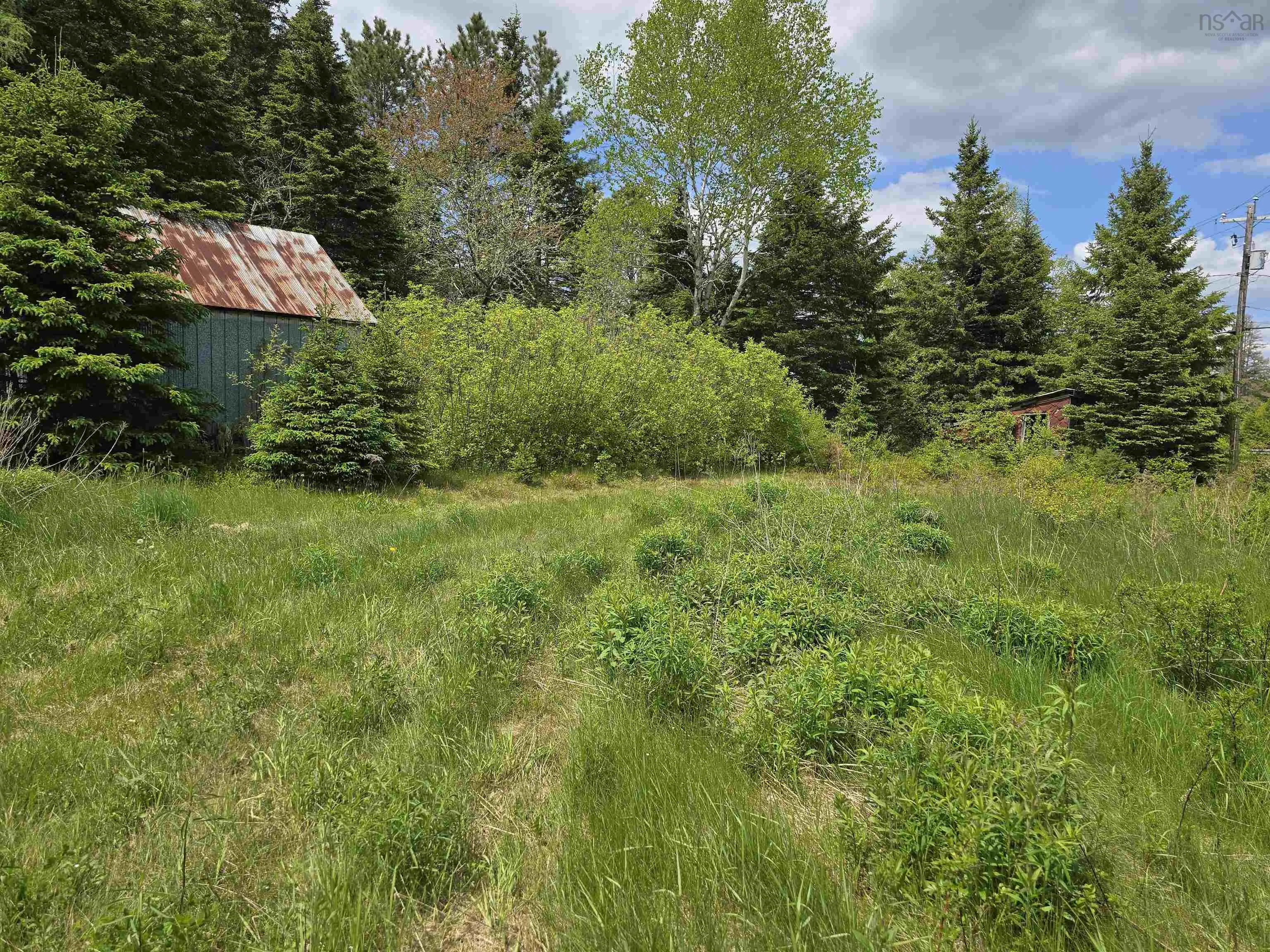 17987 Highway 316, Country Harbour, NS B0H 0B1, ,Land,For Sale,Highway 316,202513447